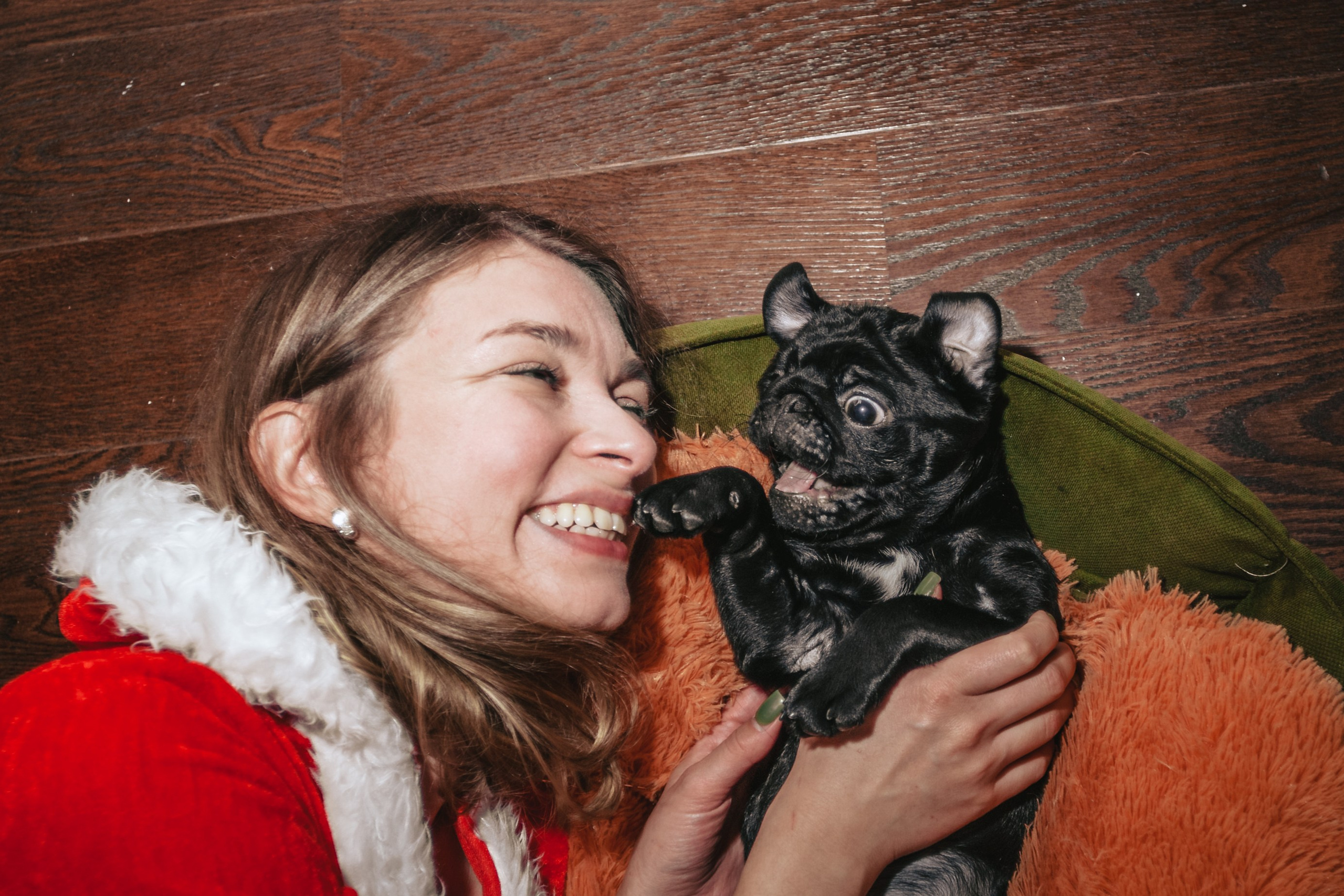 Домашняя фотосессия Оли и двух ее мопсов. Фотограф-анималист Татьяна Степанова