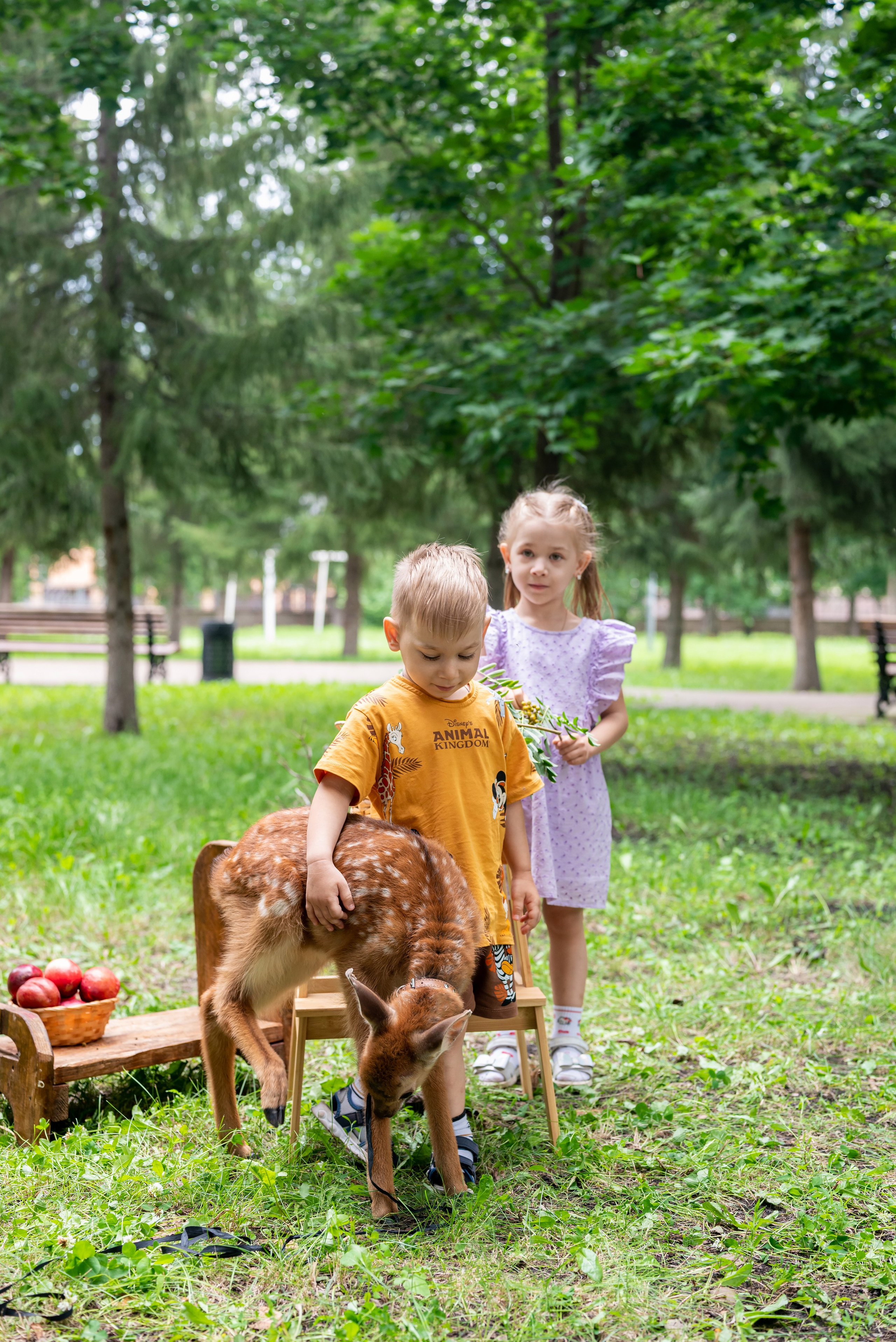 Фотопроект *Оленёнок Бэмби*. Фотограф в городе Салават
