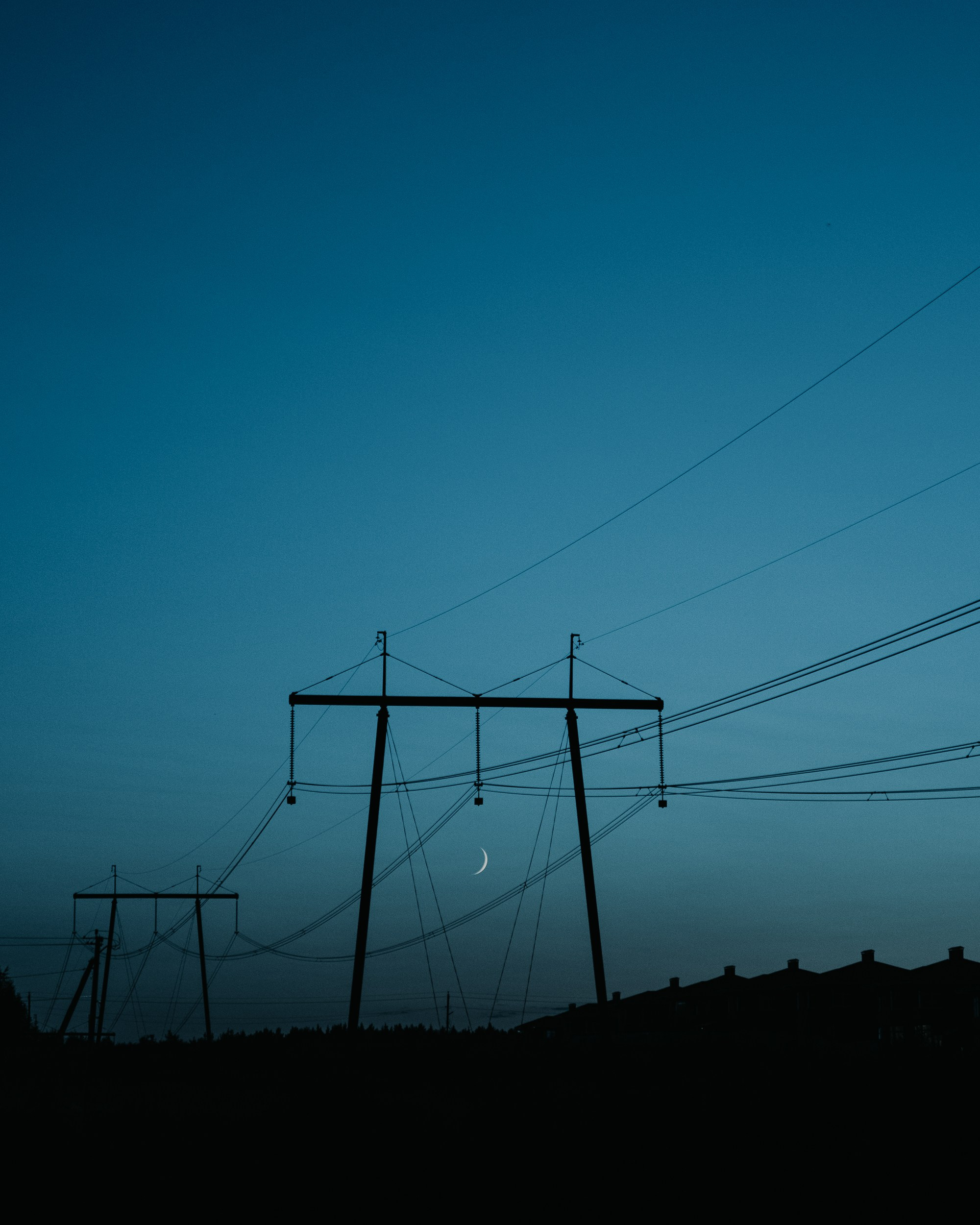 Book a photo shoot. Real moments between people and their dogs