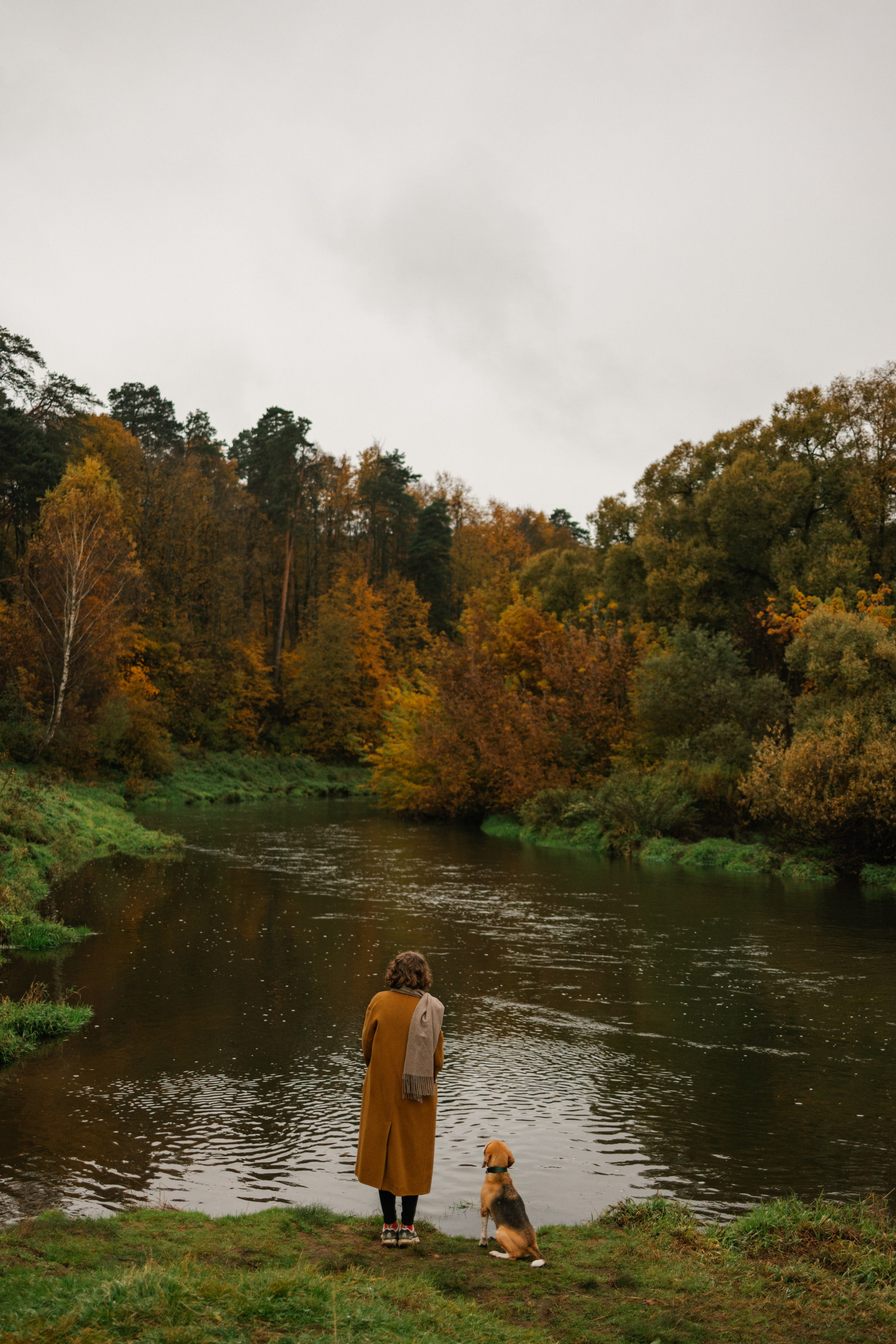 Лена и Тайгер. Фотограф — Анималист | Санкт-Петербург