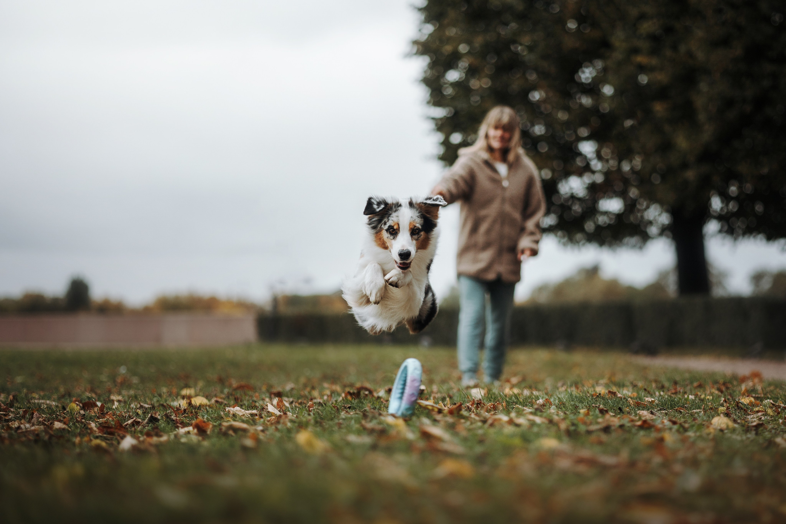 Ирина и Кайса. Фотограф — Анималист | Санкт-Петербург