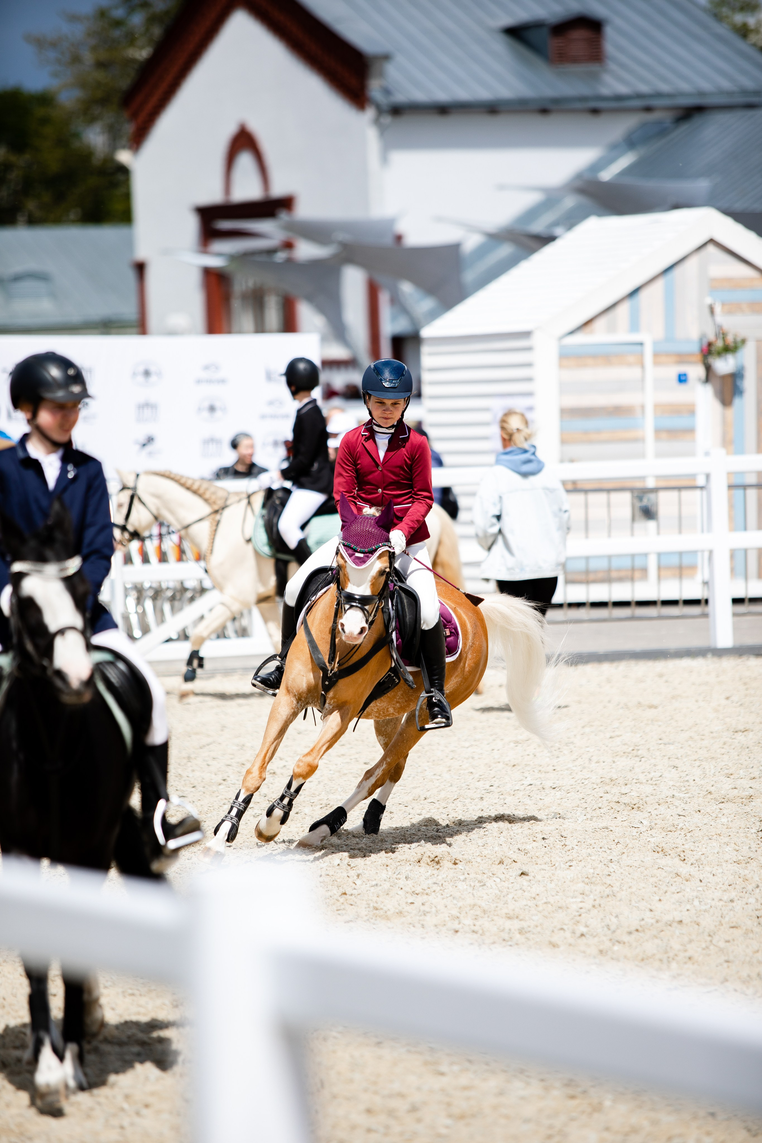 Турниры. Veronika Makeeva horse photo