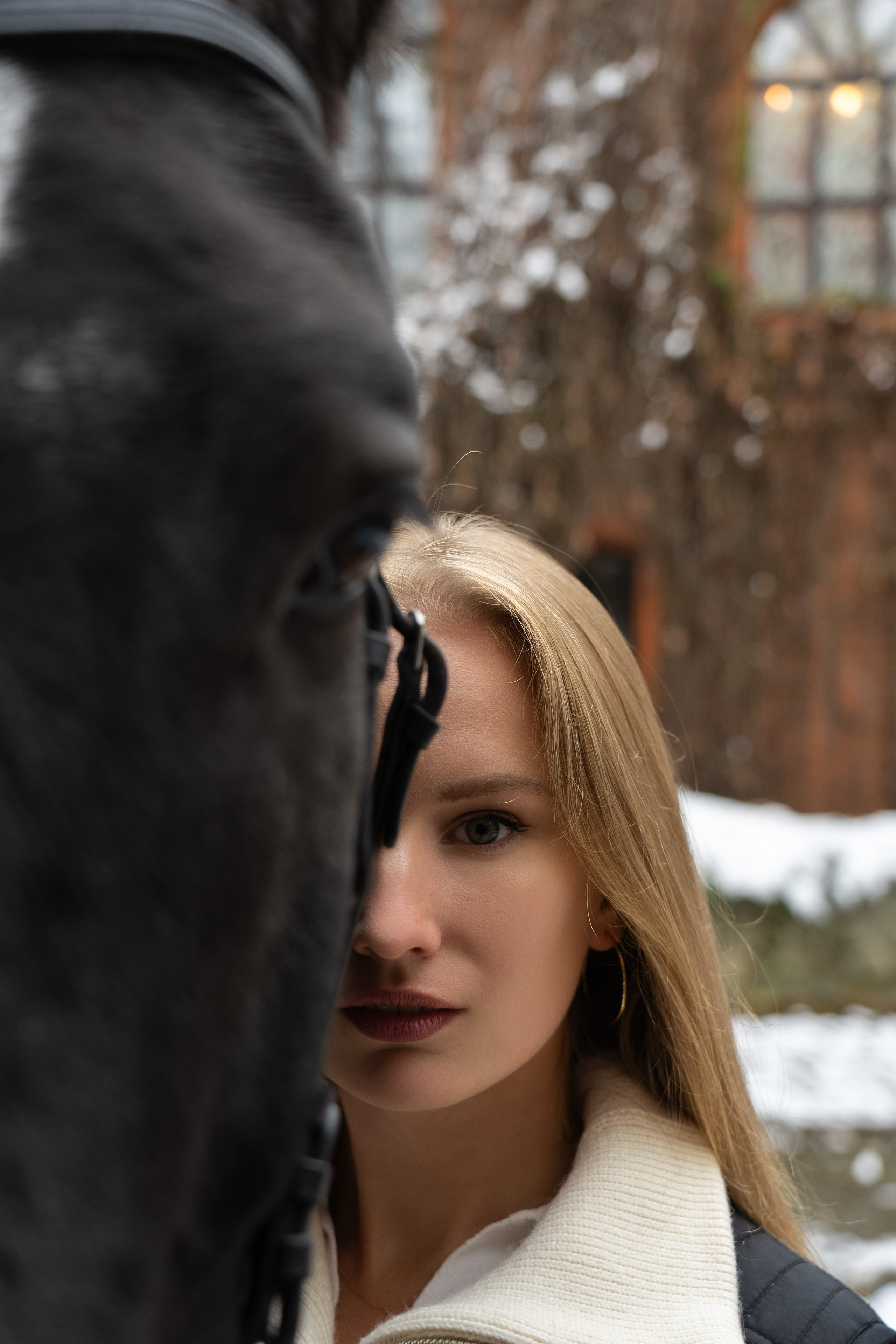 Фотосессия с лошадьми. Главная