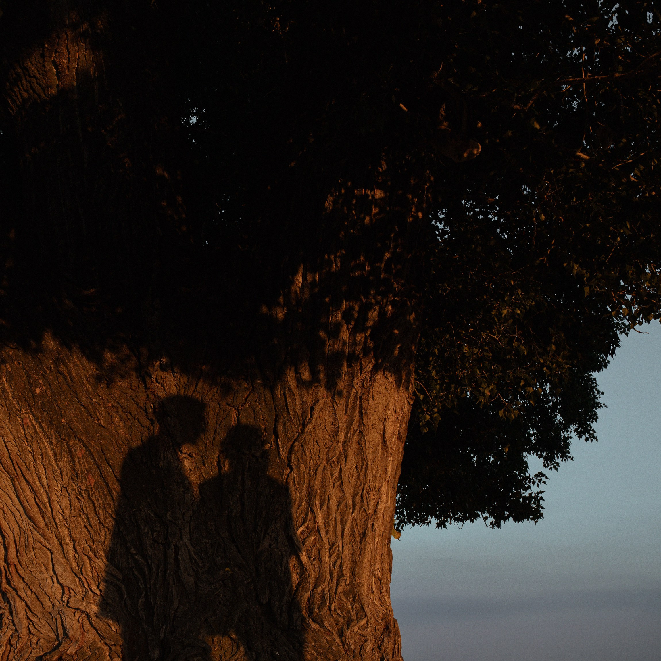 Vlada & Ilya. Портретный и репортажной фотограф Алексей Волков. Москва, Оренбург