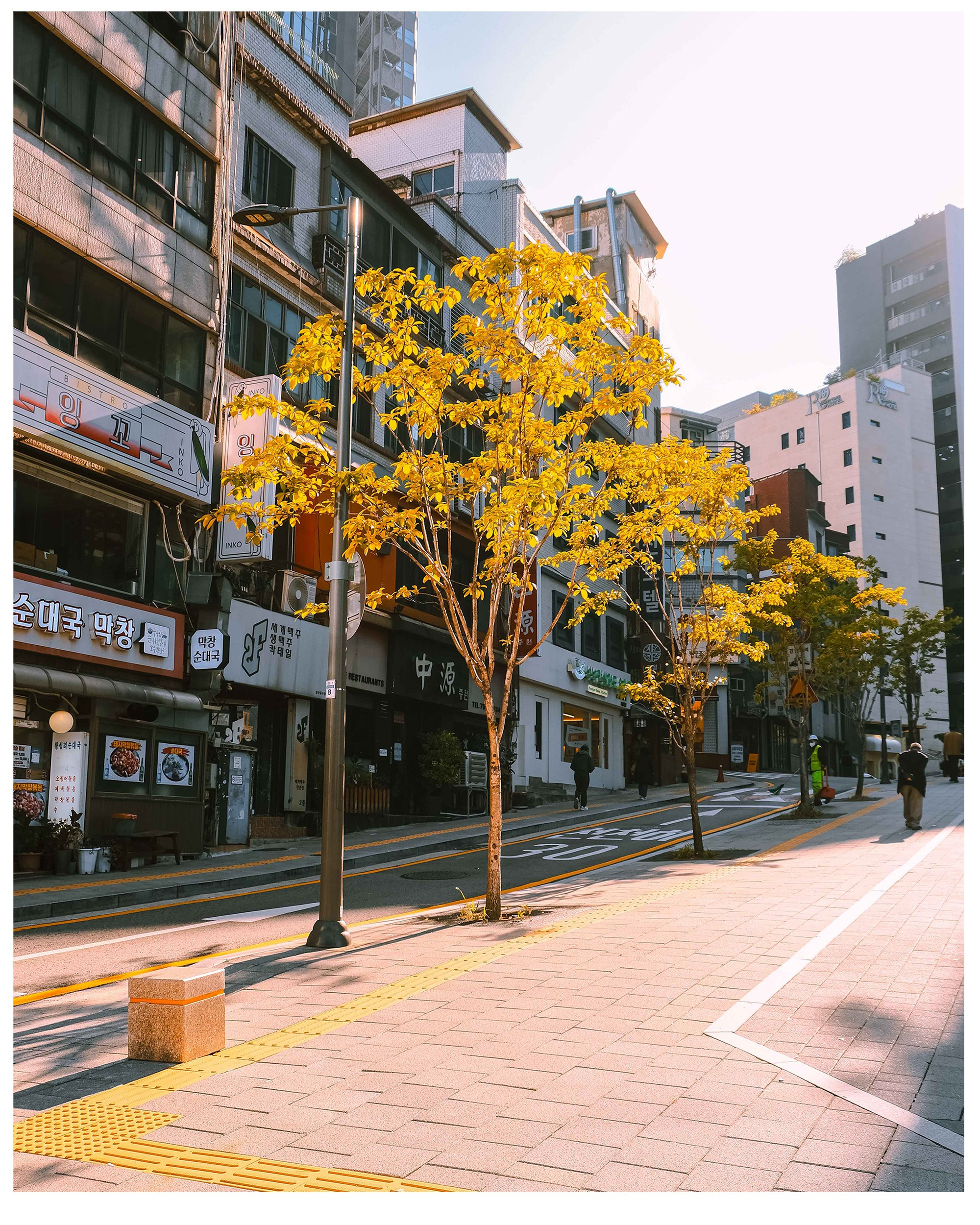 Авторские. -