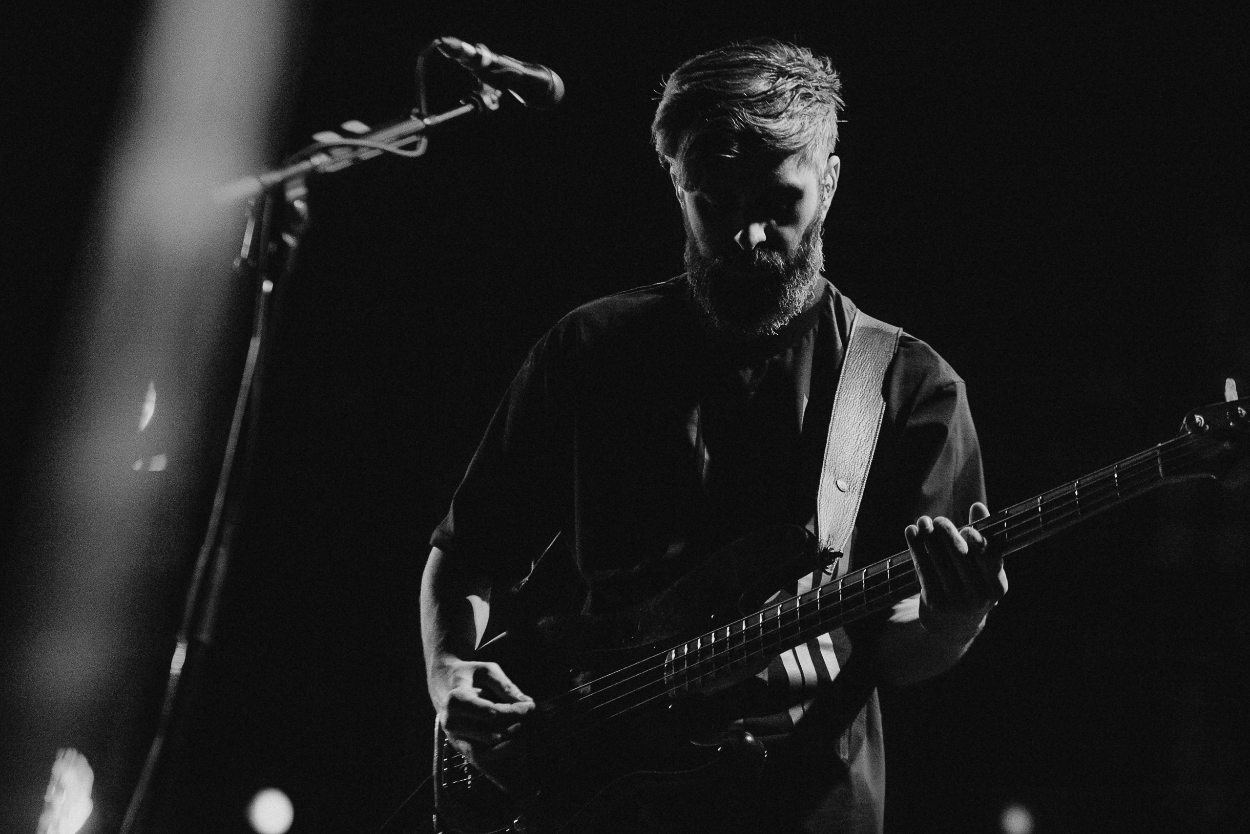 Звери 2025. Репортажный фотограф в Кемерово