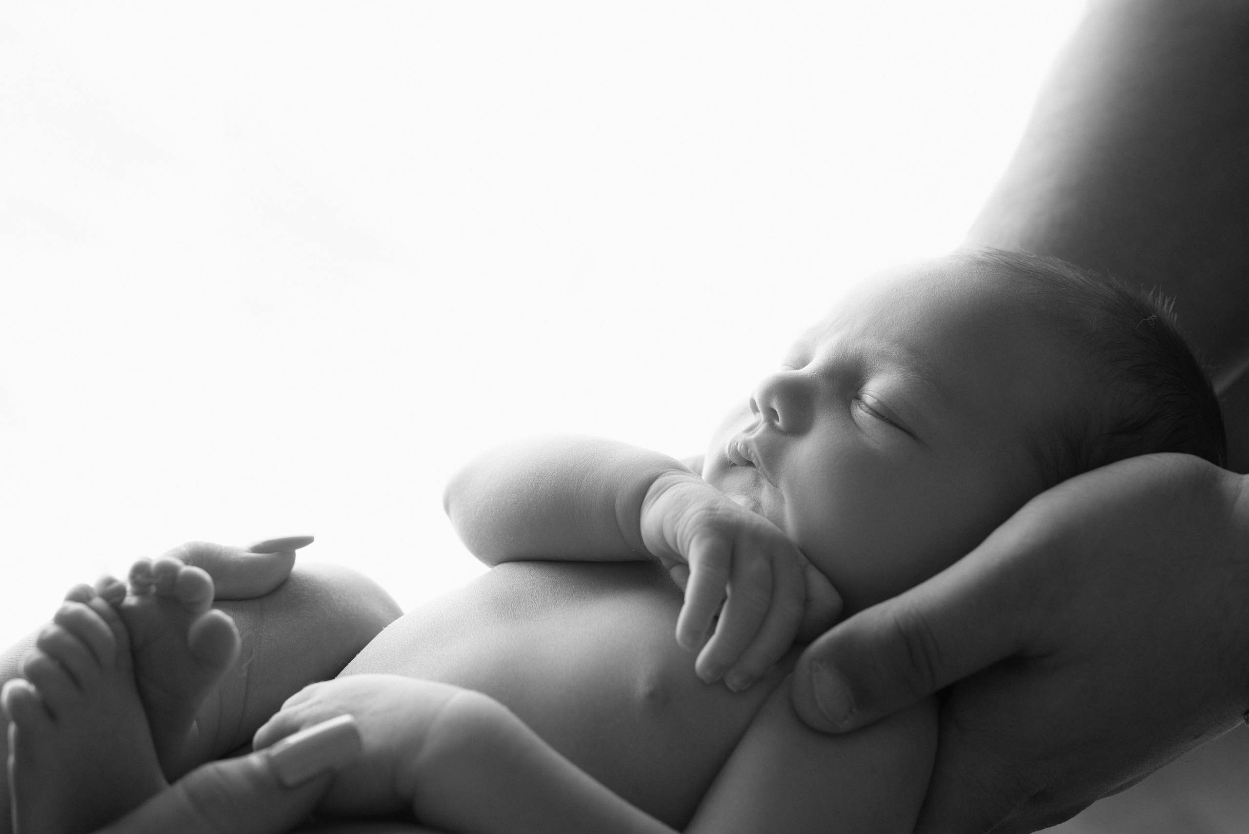 Новорожденные. Фотограф Новорожденных во Владивостоке Ольга Галаницкая