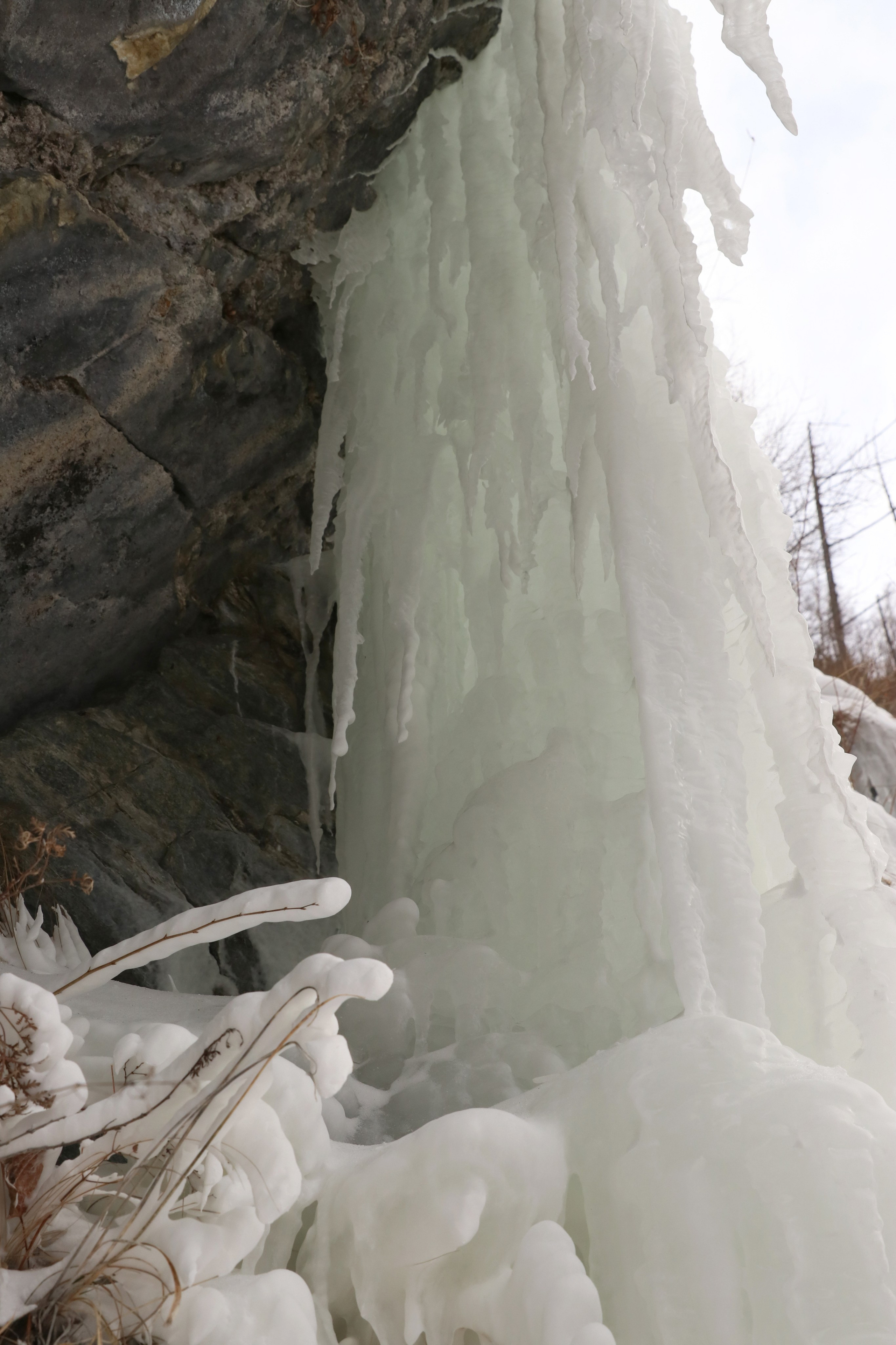 Аршан. Февраль 2025. Путешественник-фотограф из Санкт-Петербурга Татьяна Свистулина