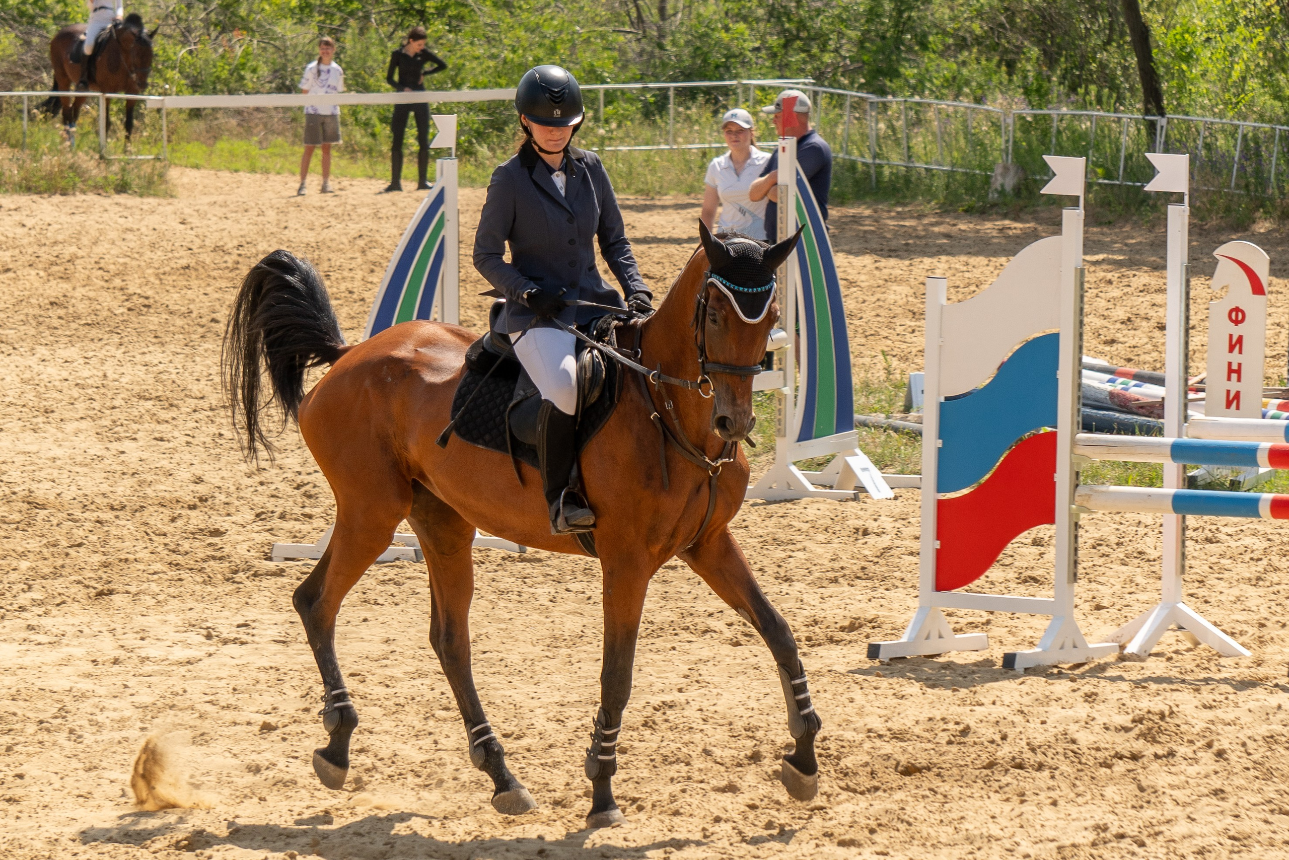 Соревнования по конкуру, Луганск. Фотограф в РФ и ЛНР Юлия Федосеева
