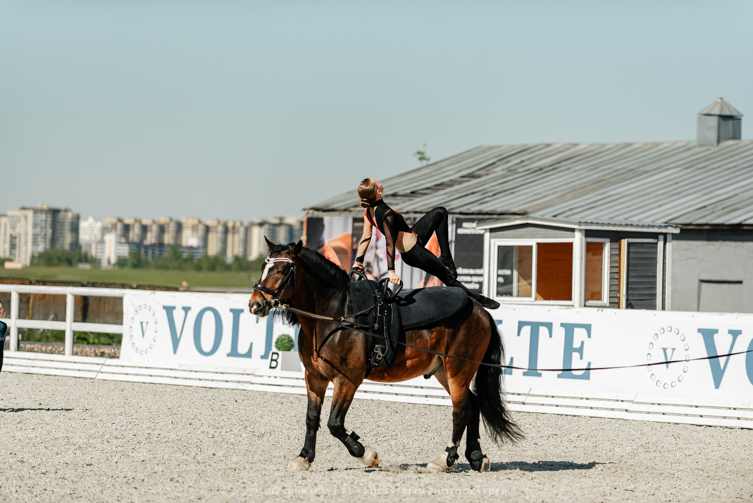 РЕПОРТАЖ МКК ВОЛЬТ «LA TULIPS». Конный фотограф Куракина Дарья • Фотосессии с лошадьми