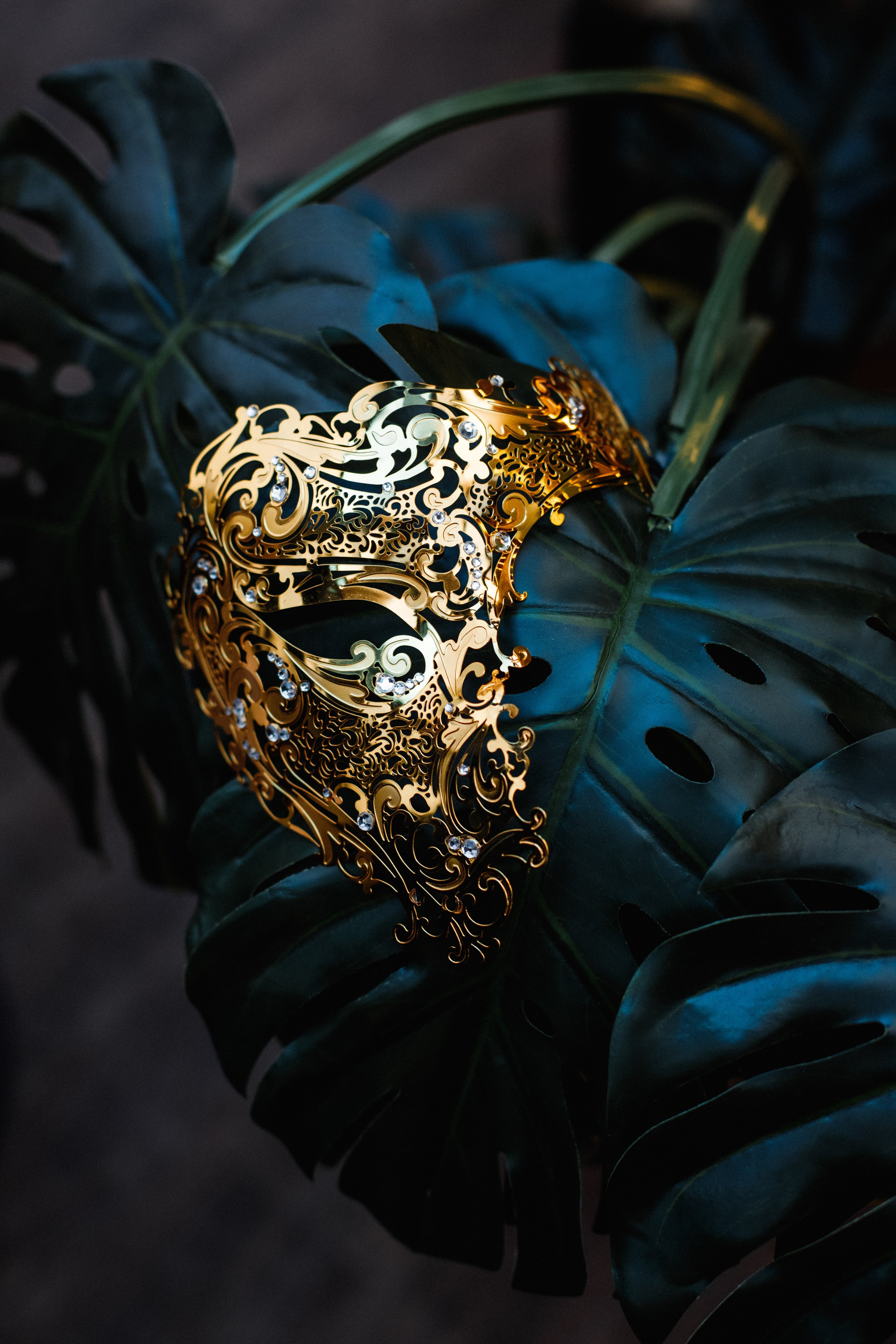 QUEEN KHV [12 ЛЕТ]. СВОИ. ФОТООТЧЕТЫ-СОБЫТИЯ-МЕСТА