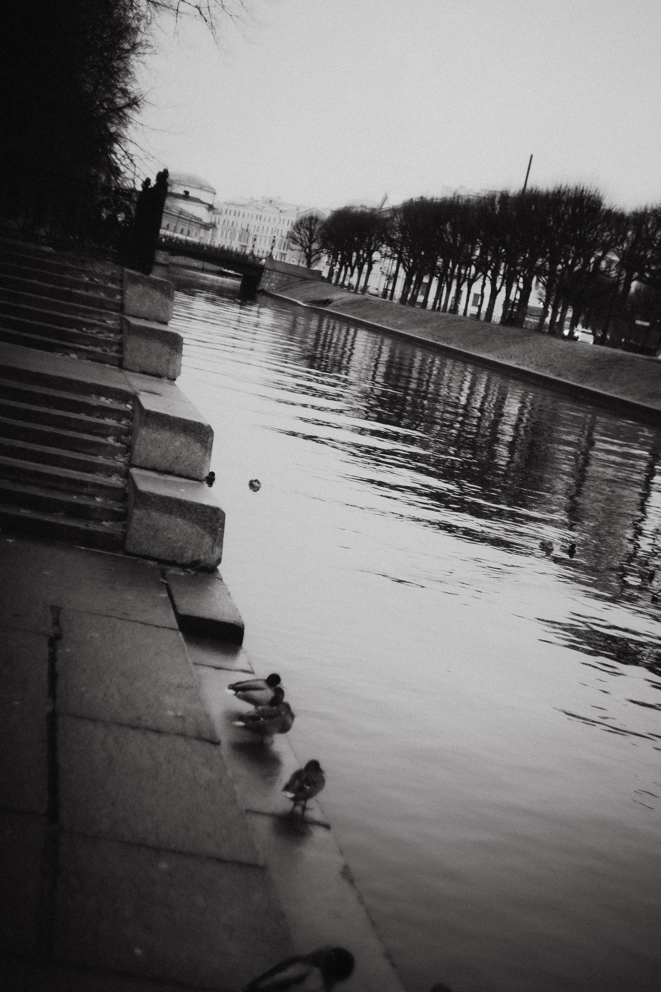 Питер / 24. Фотограф в Нижнем Новгороде