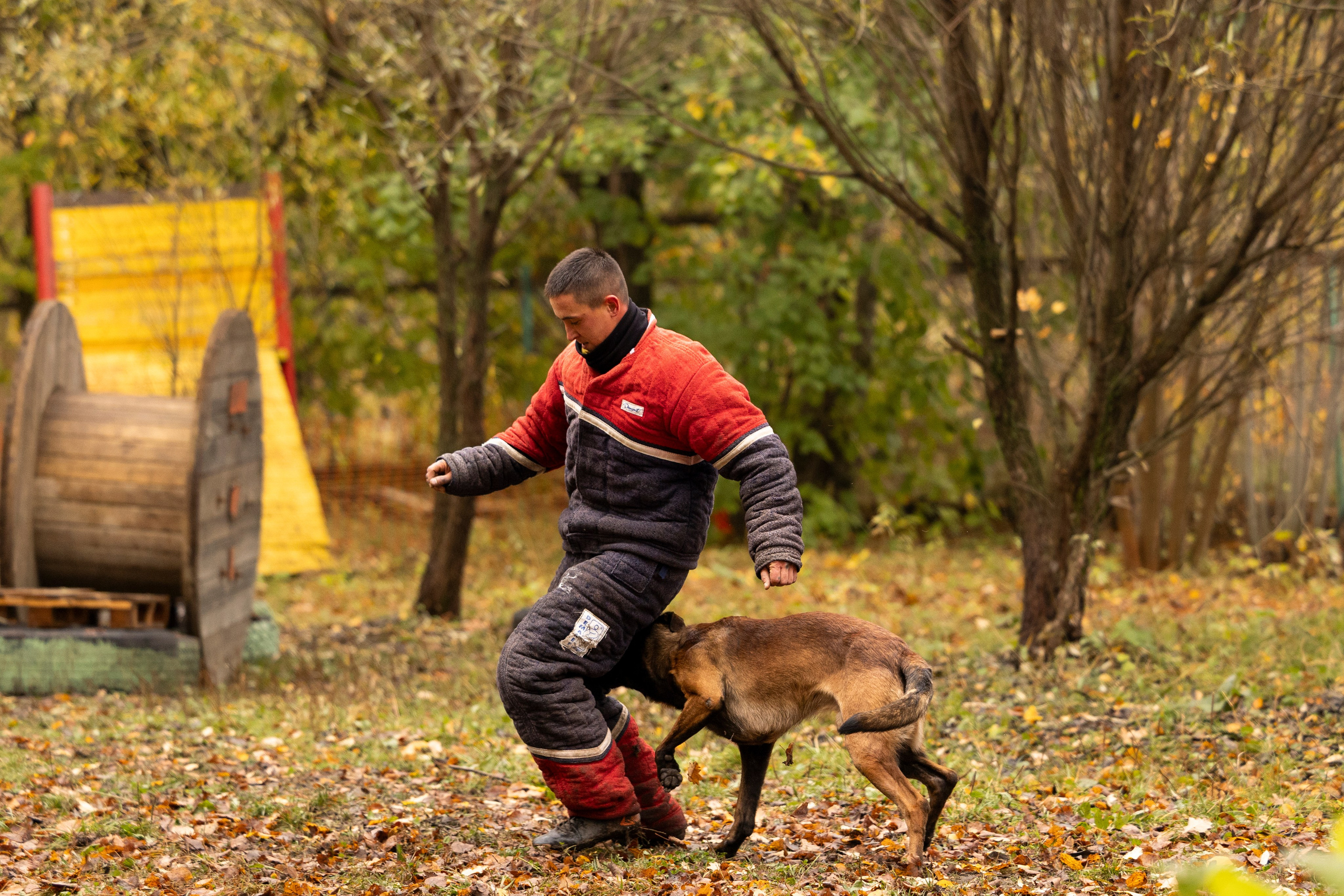 Соревнования по Мондьорингу г. Вологда. Фотограф-анималист Анна Маринич