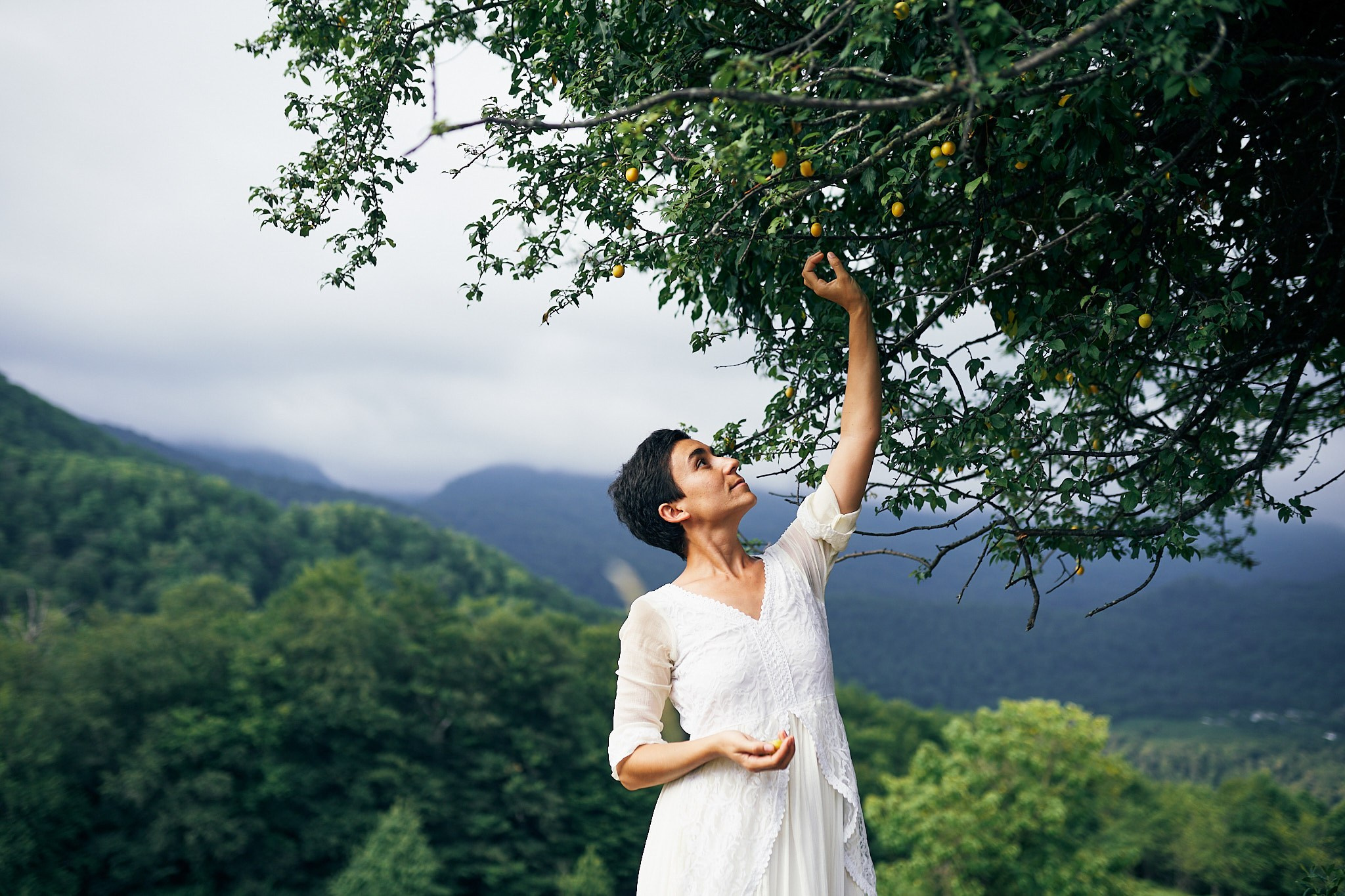 Чайные плантации. Фотограф в Сочи Катя Гончарова