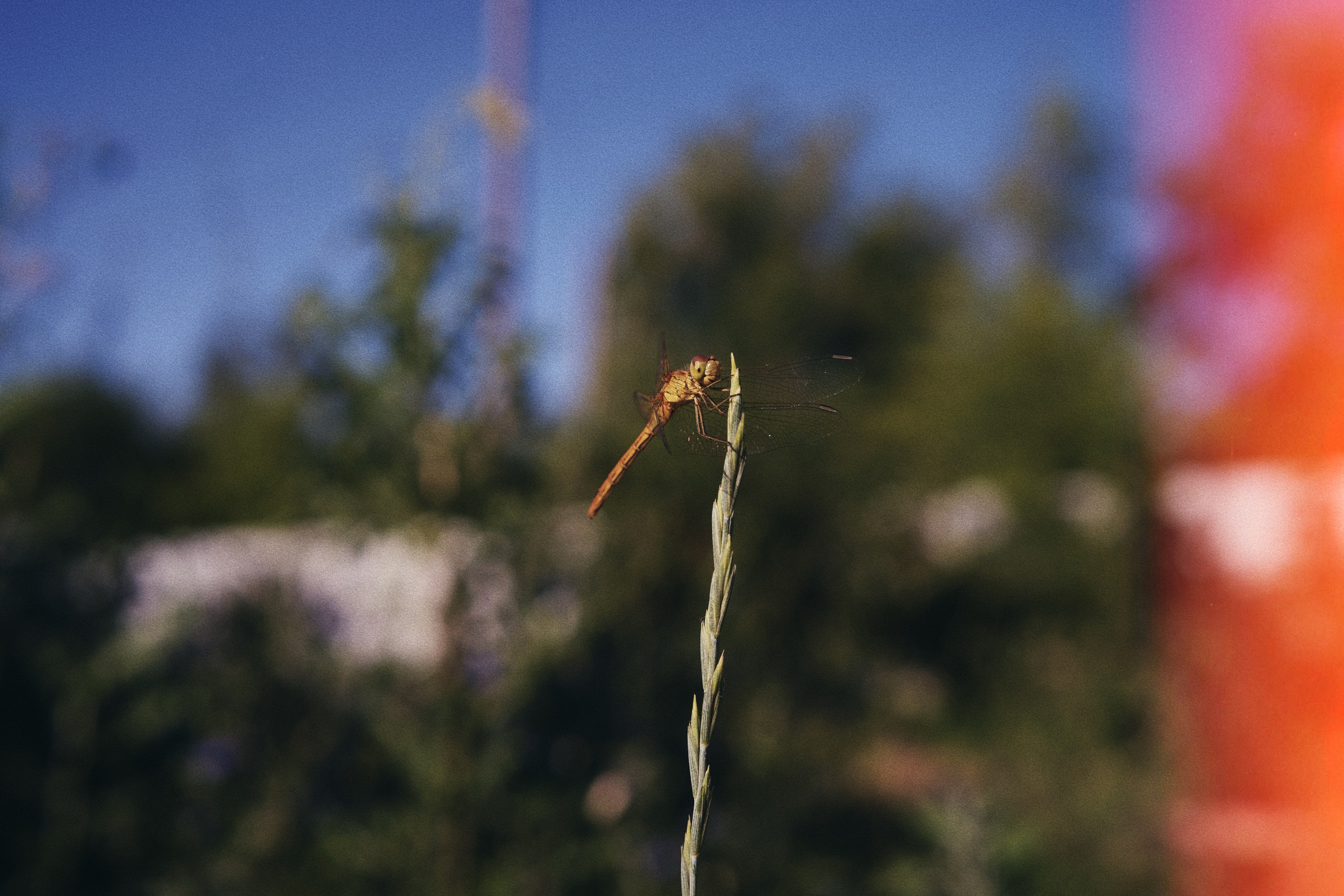 Визуальный дневник. Портретный фотограф в Москве Гахраманова Екатерина