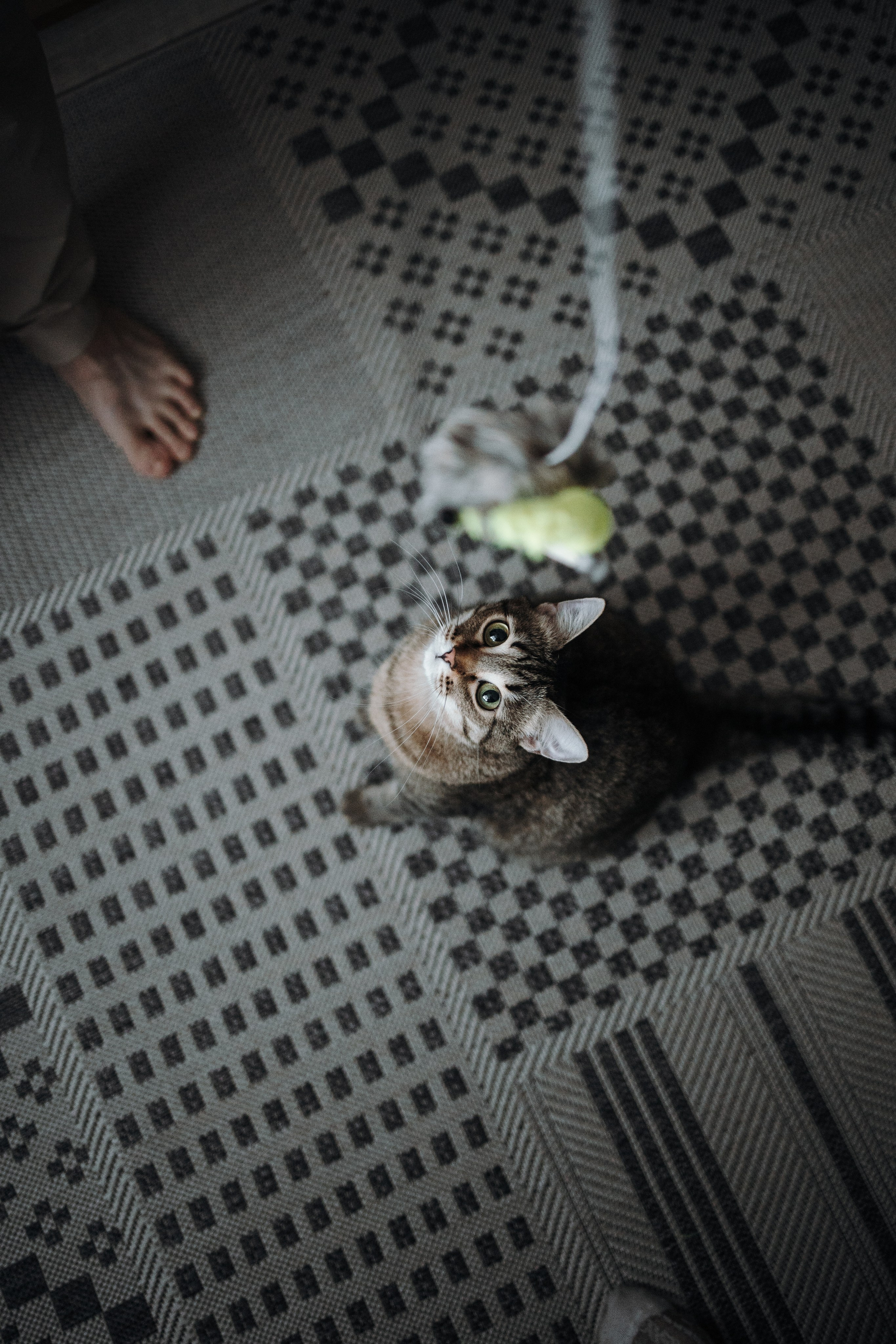 Мася и ее семья. Фотограф — Анималист | Санкт-Петербург