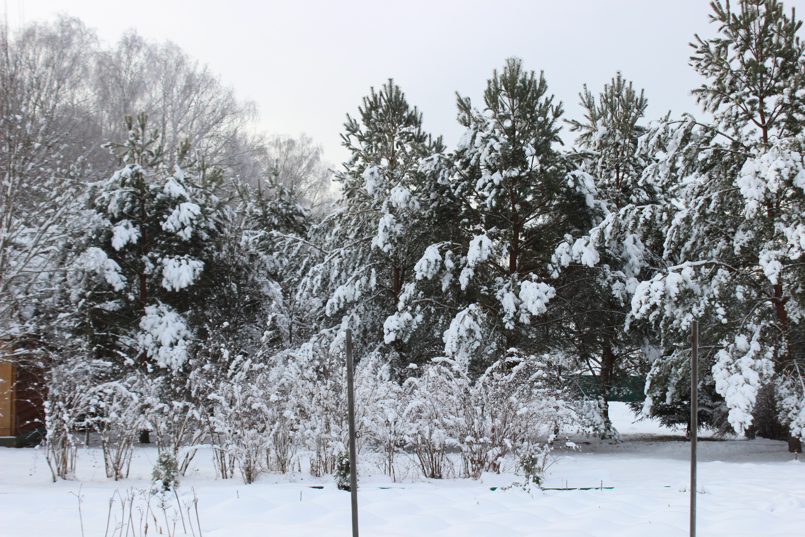 Оздоровительный комплекс Шалово-парк Серебряные ключи