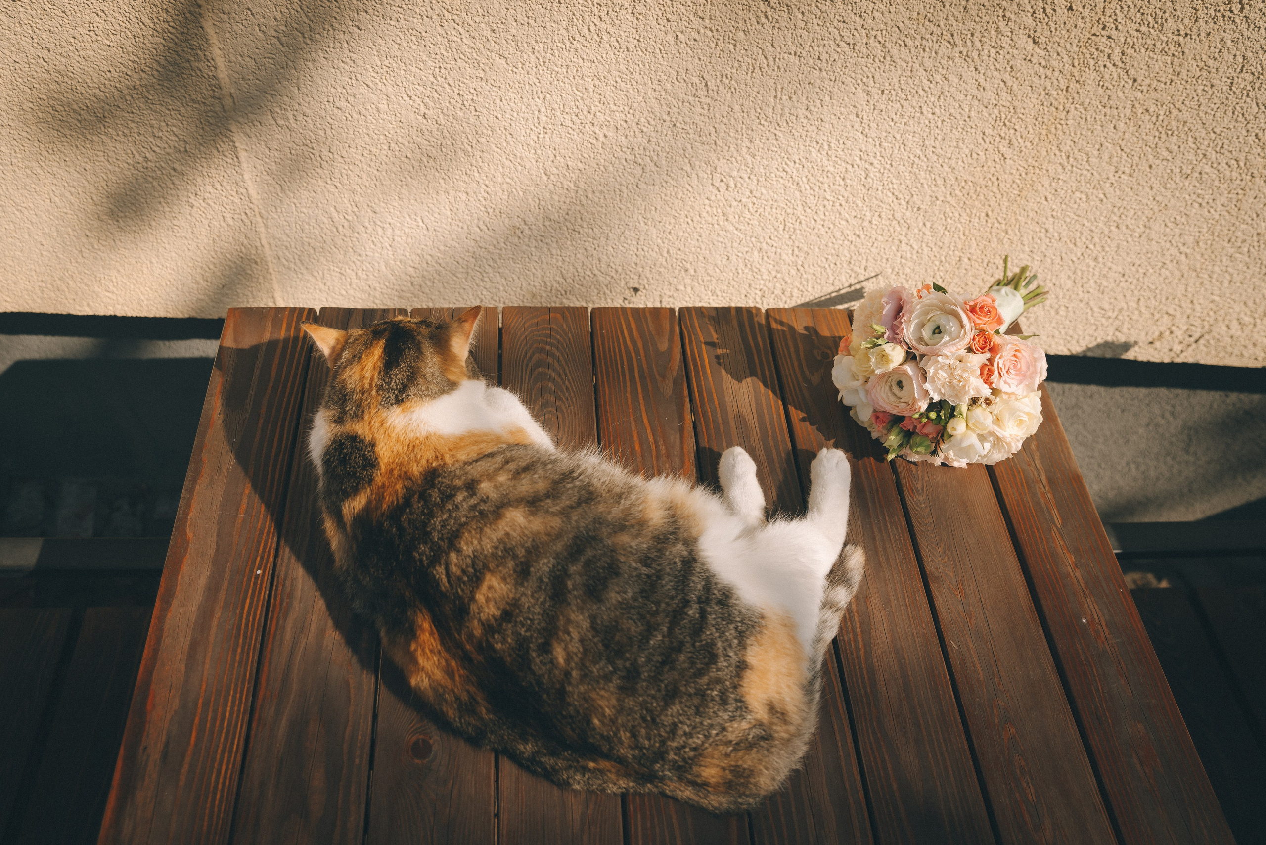 Из Петербурга в Зеленоградск на свадьбу!. Фотограф Зеленоградск Красильникова Елена