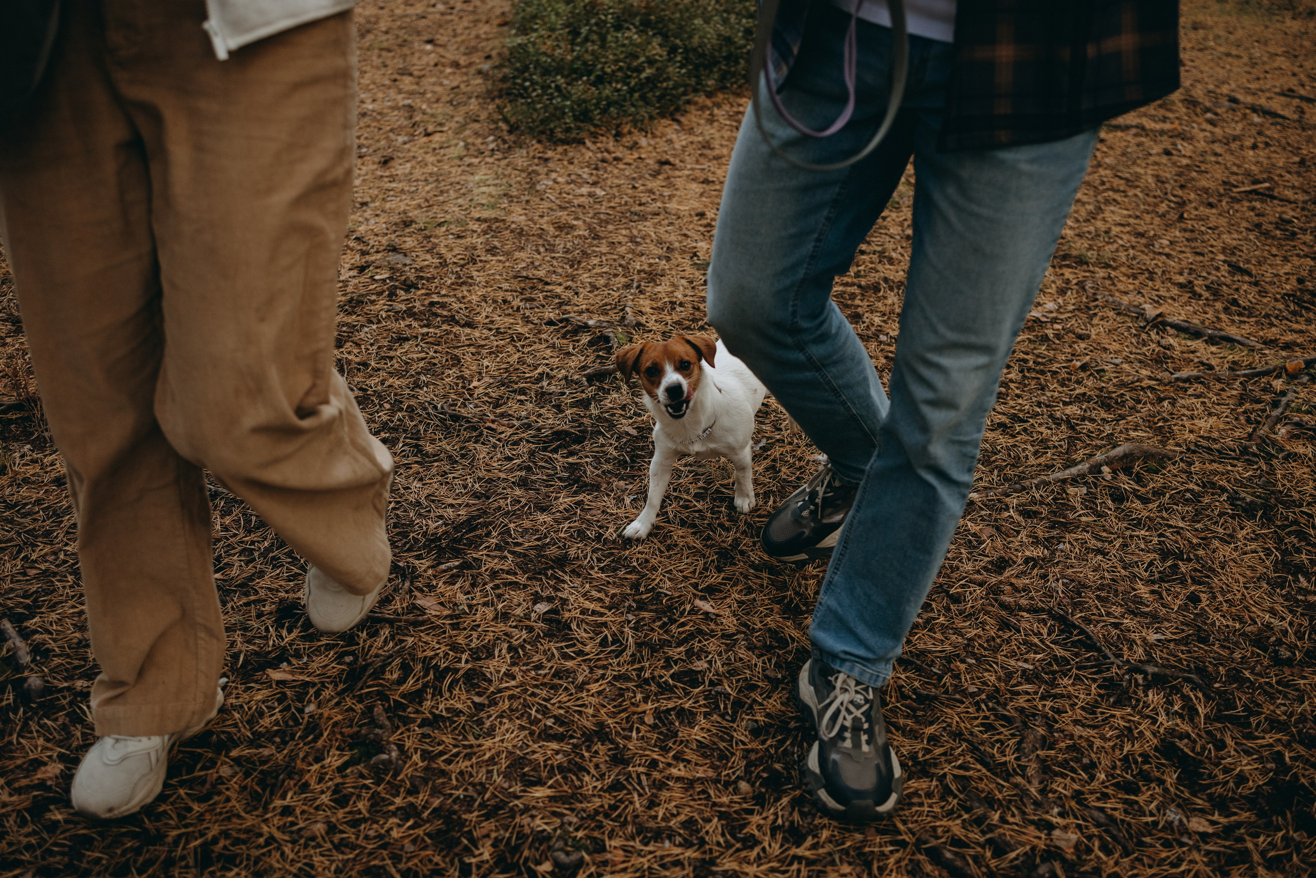 Лея и ее семья. Фотограф — Анималист | Санкт-Петербург