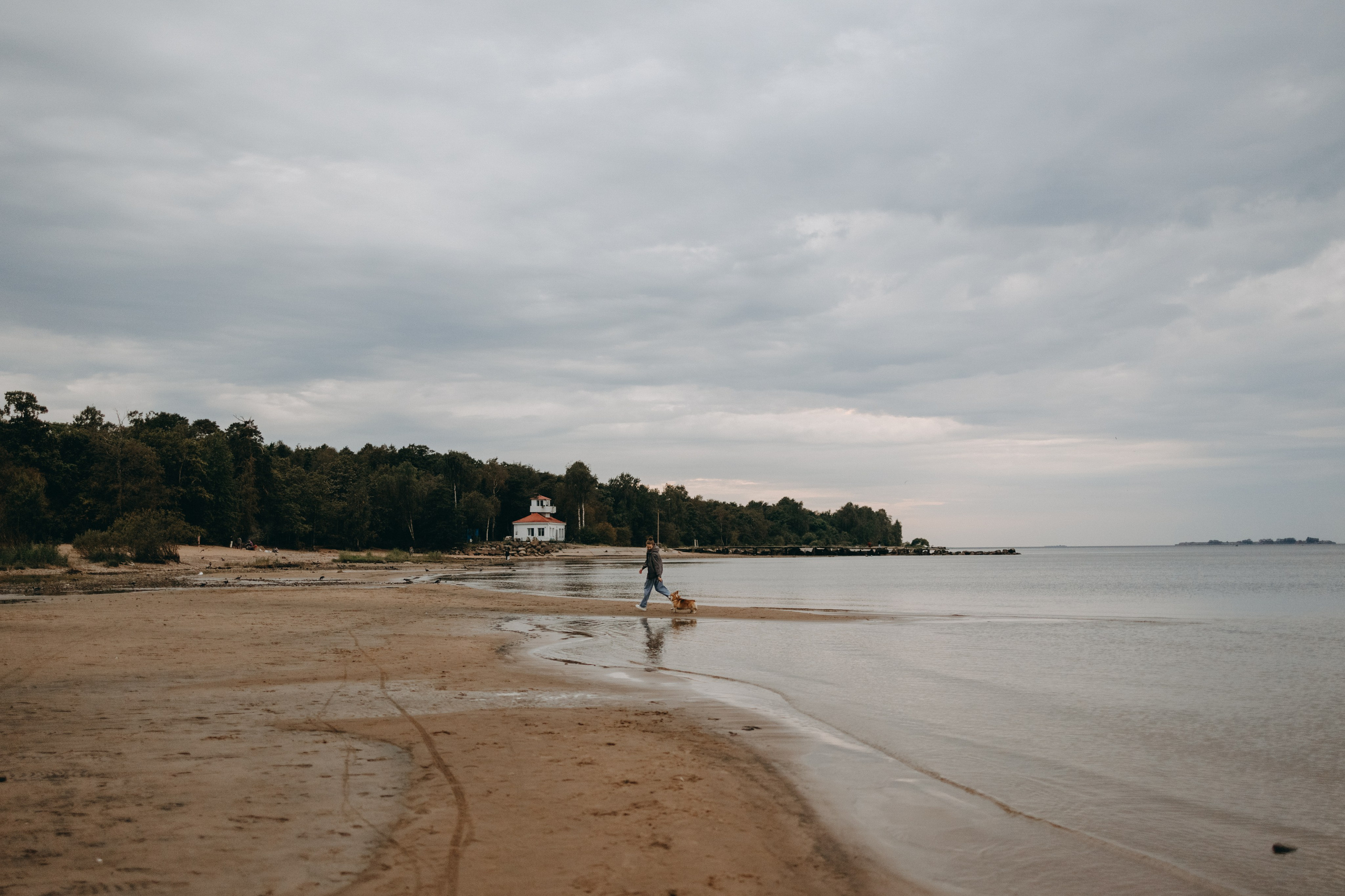 Лиза и Бакс. Фотограф — Анималист | Санкт-Петербург