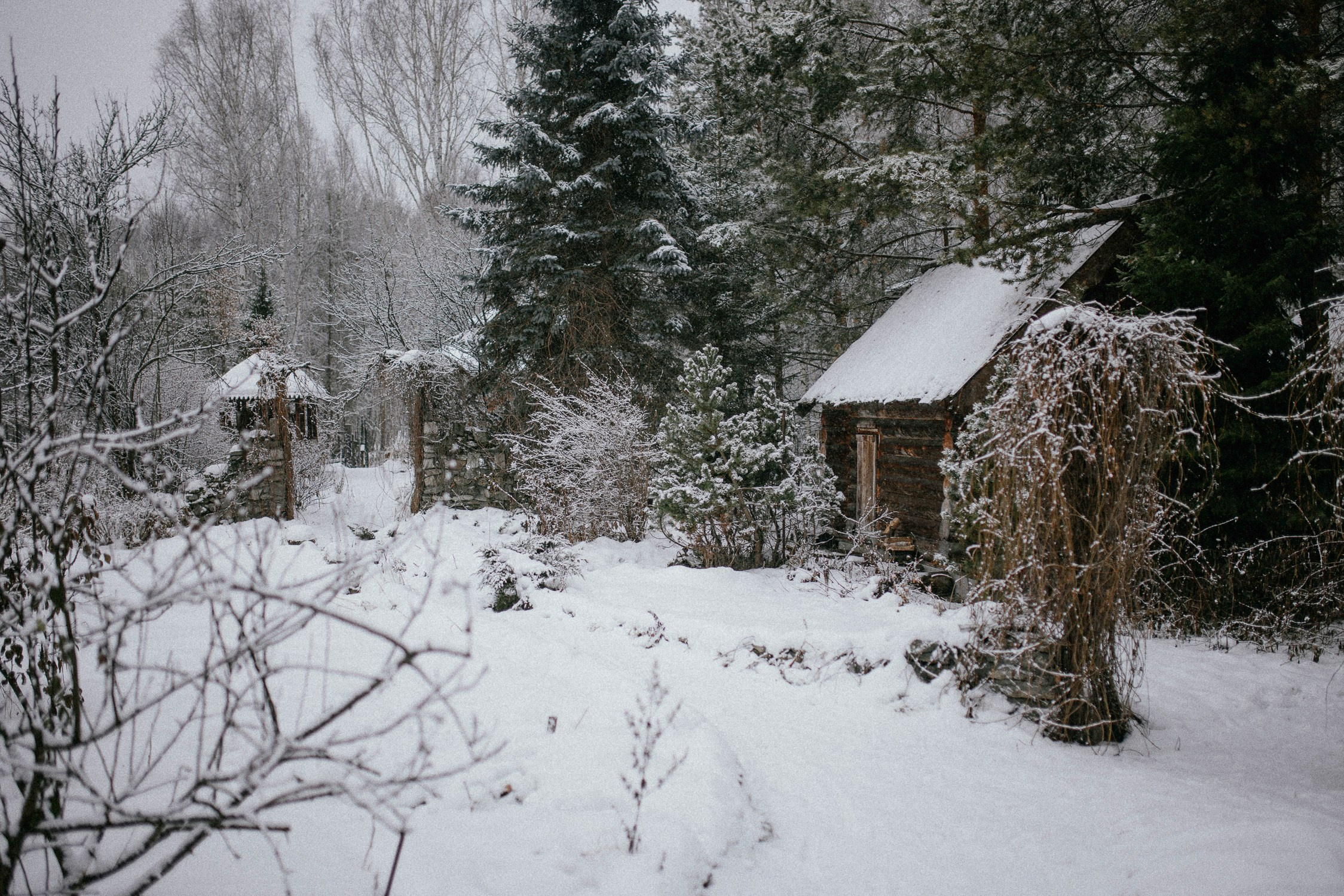 Зал «Сад» фотостудии «Зачарованный Сад» в Екатеринбурге — природная локация для фотосессий. Фотостудия «Зачарованный Сад» в 20 минутах от центра Екатеринбурга