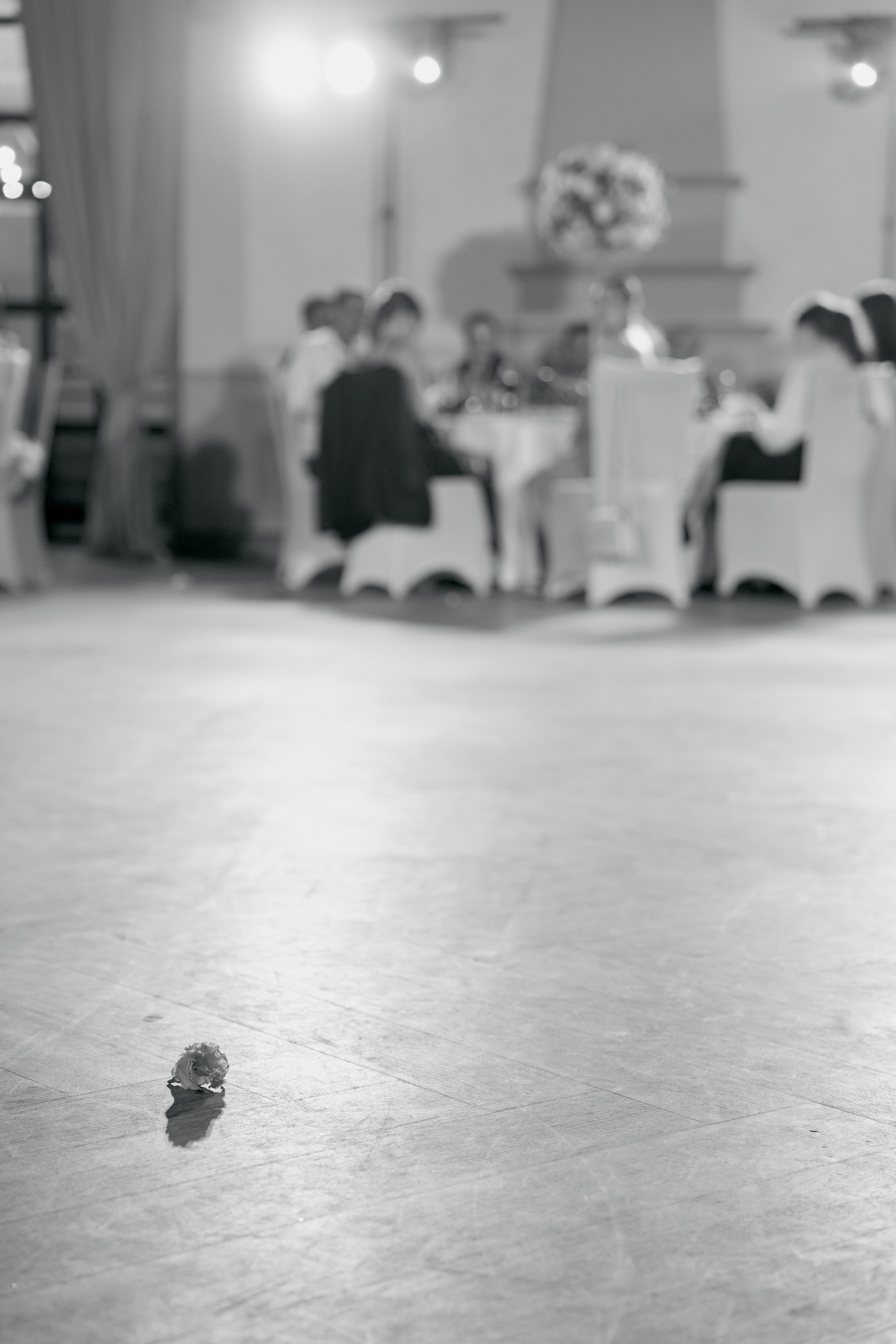 Герман и Арина. Чумаков Алексей Фотограф|Видеограф свадебные, индивидуальные, семейные, репортаж