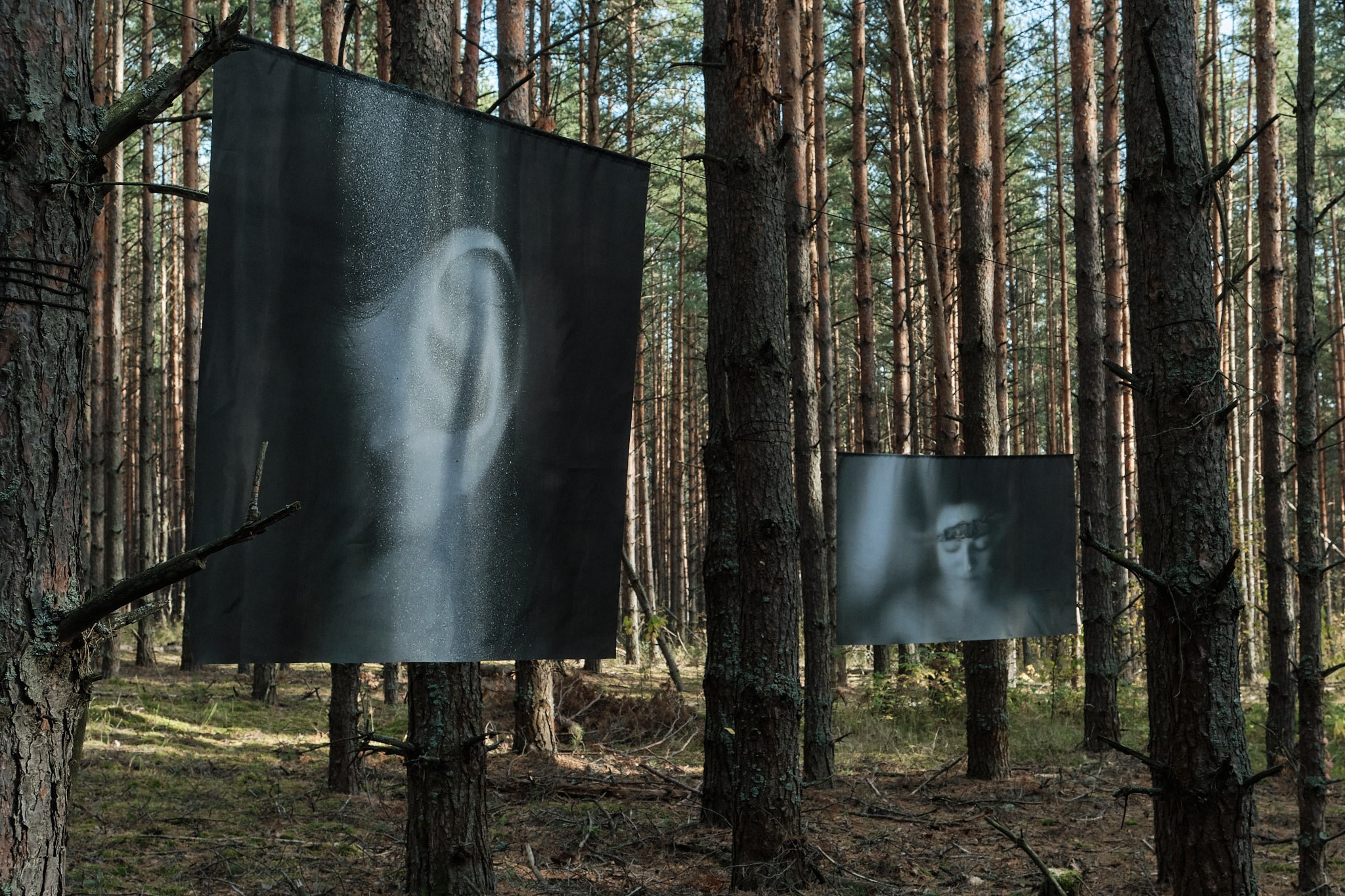 Я приношу к себе лес я себя приношу в лес. Алиса Косарева