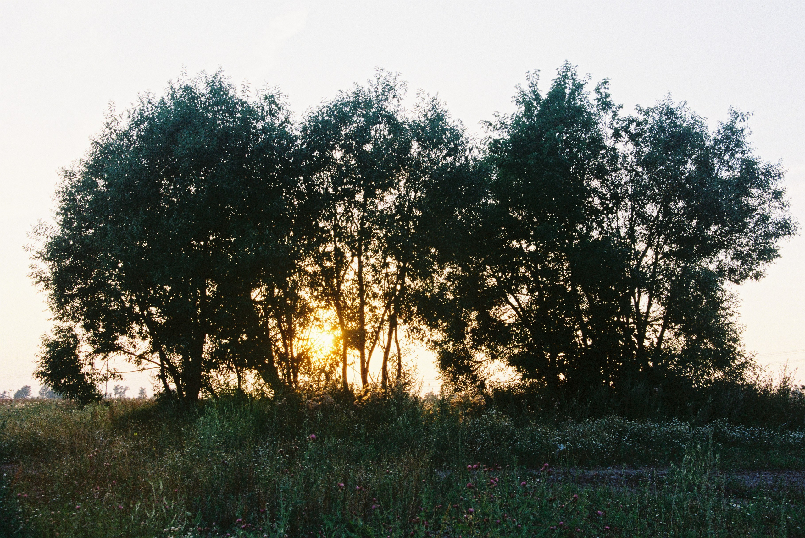 Film. Ruslan UI Dev Page