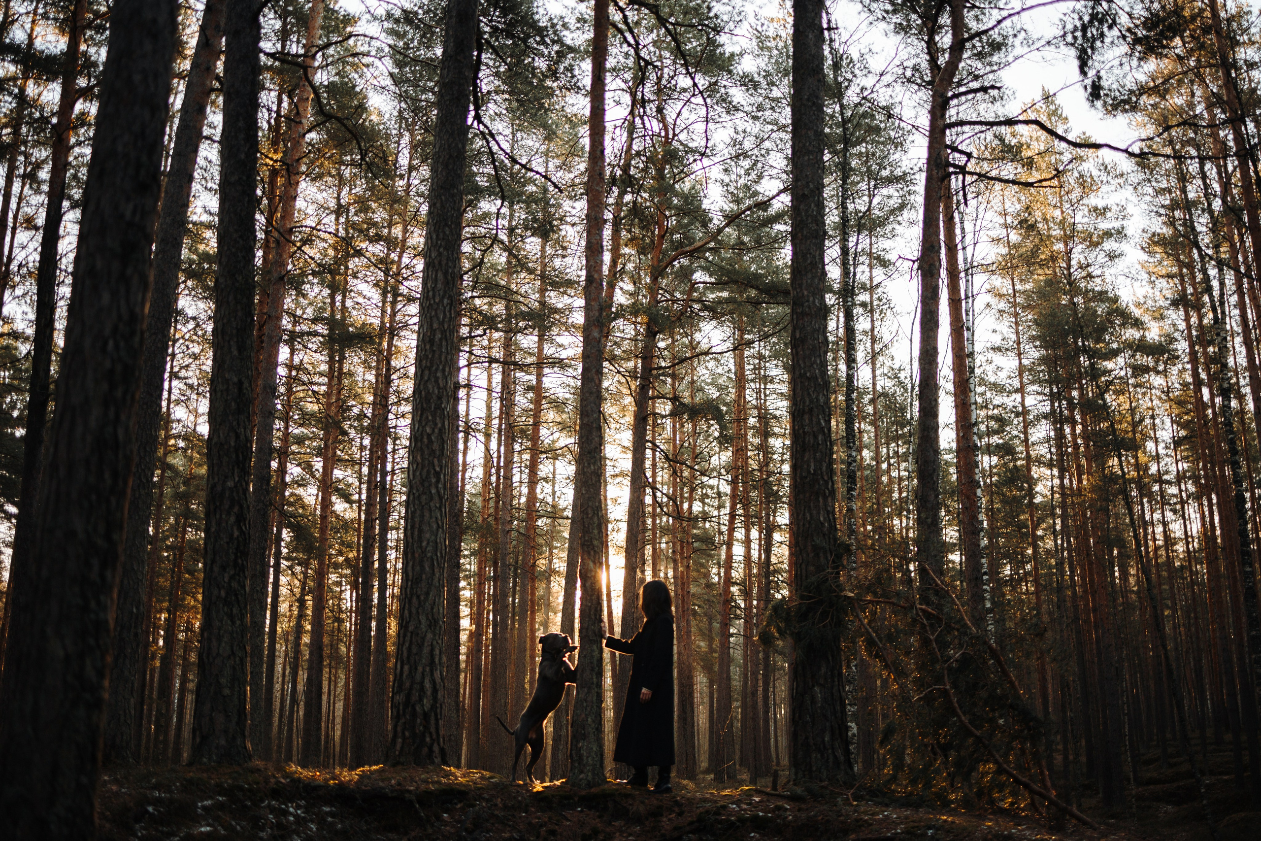 Анна и Лана. Фотограф — Анималист | Санкт-Петербург