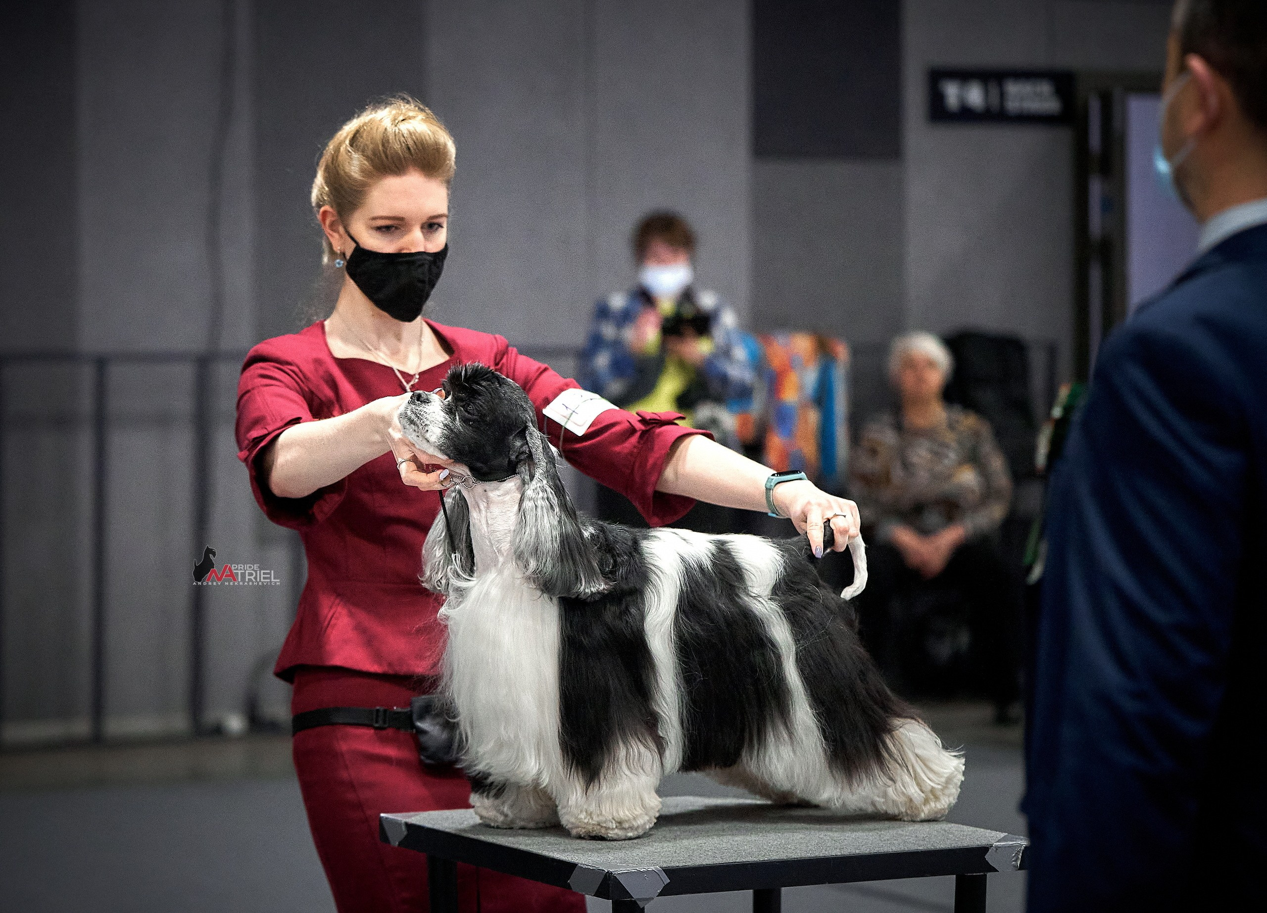 Работа в рингах — галерея NATRIEL