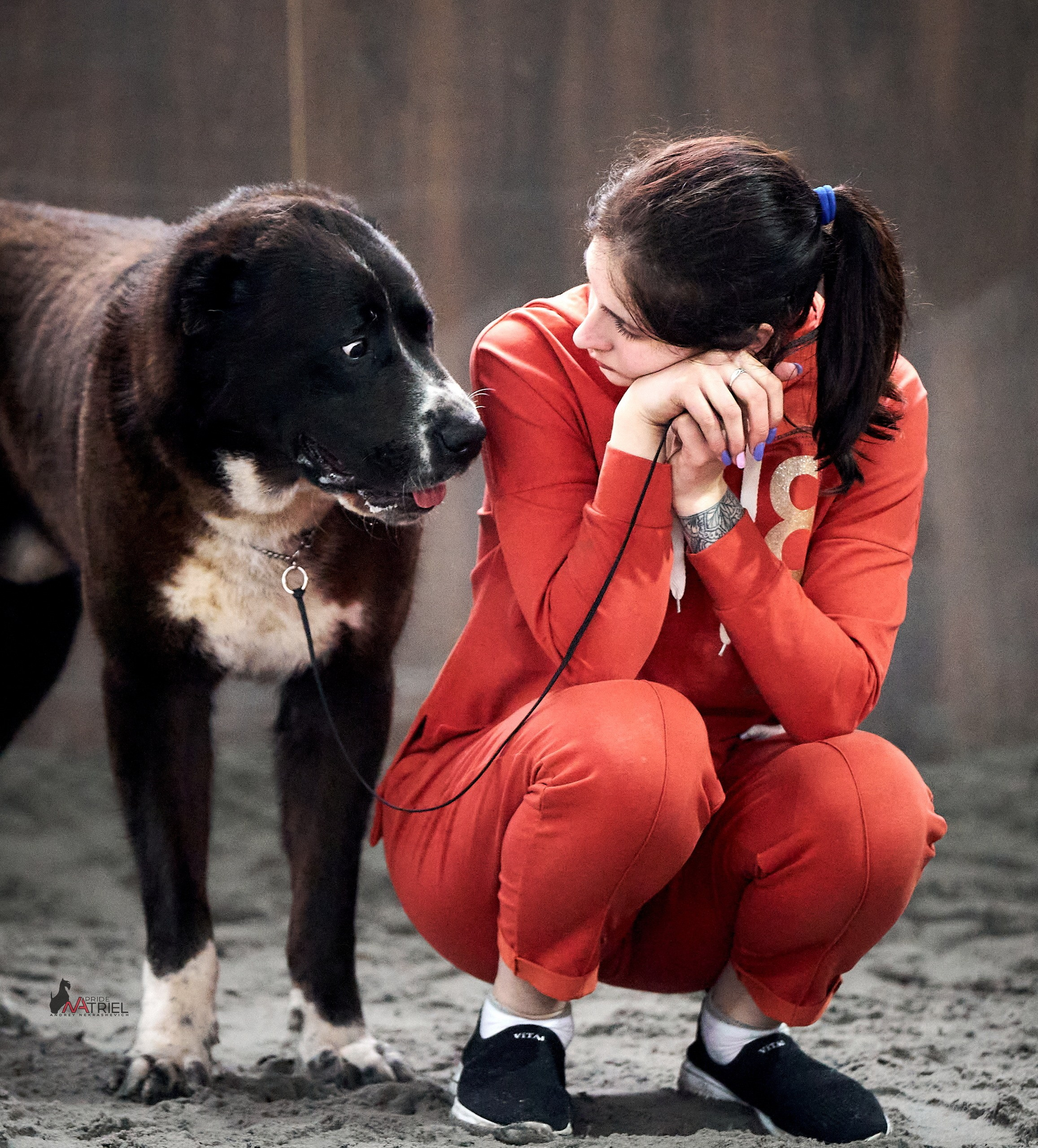 Работа в рингах — галерея NATRIEL