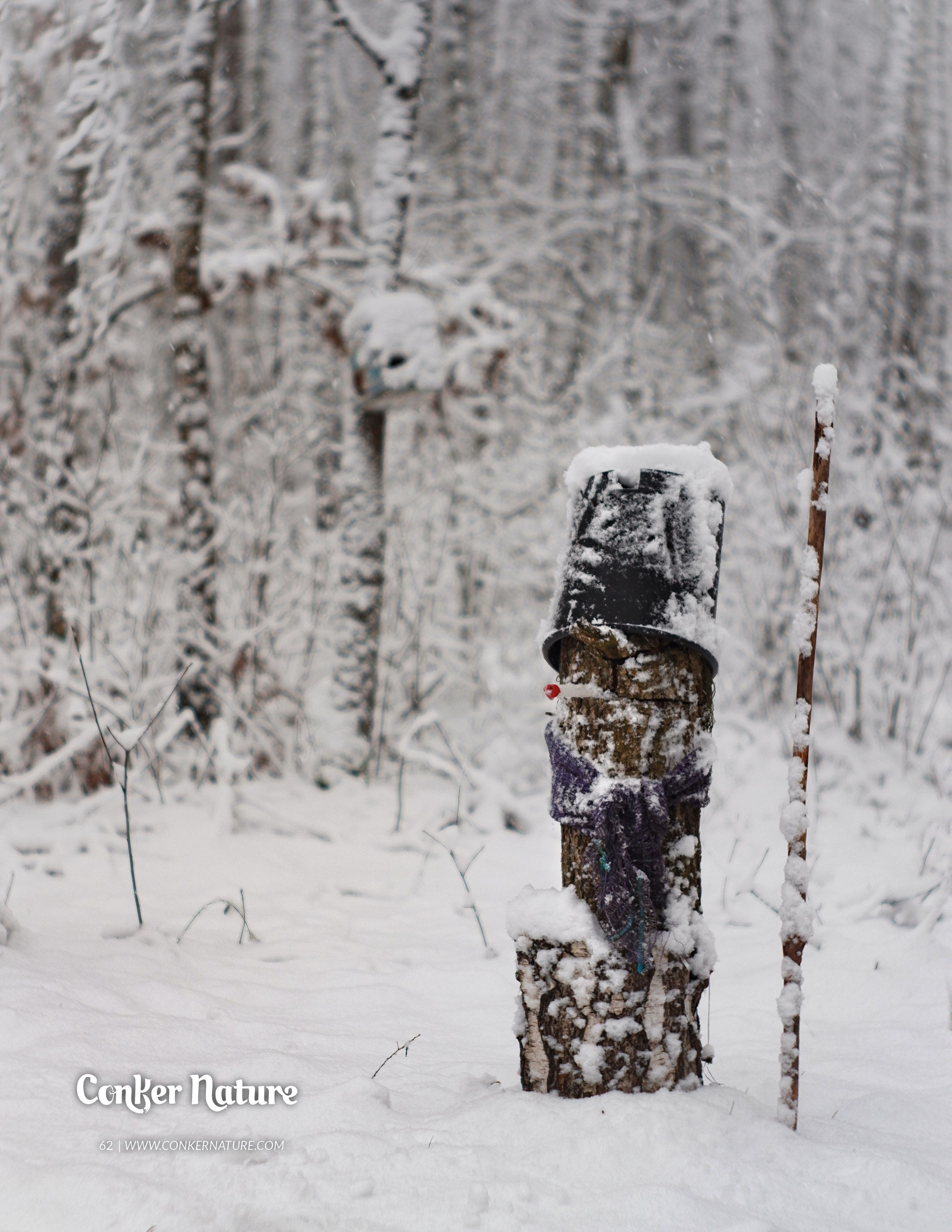 My publications in printed publications, magazines. Фотограф (photographer) Lischinski Vitaliy