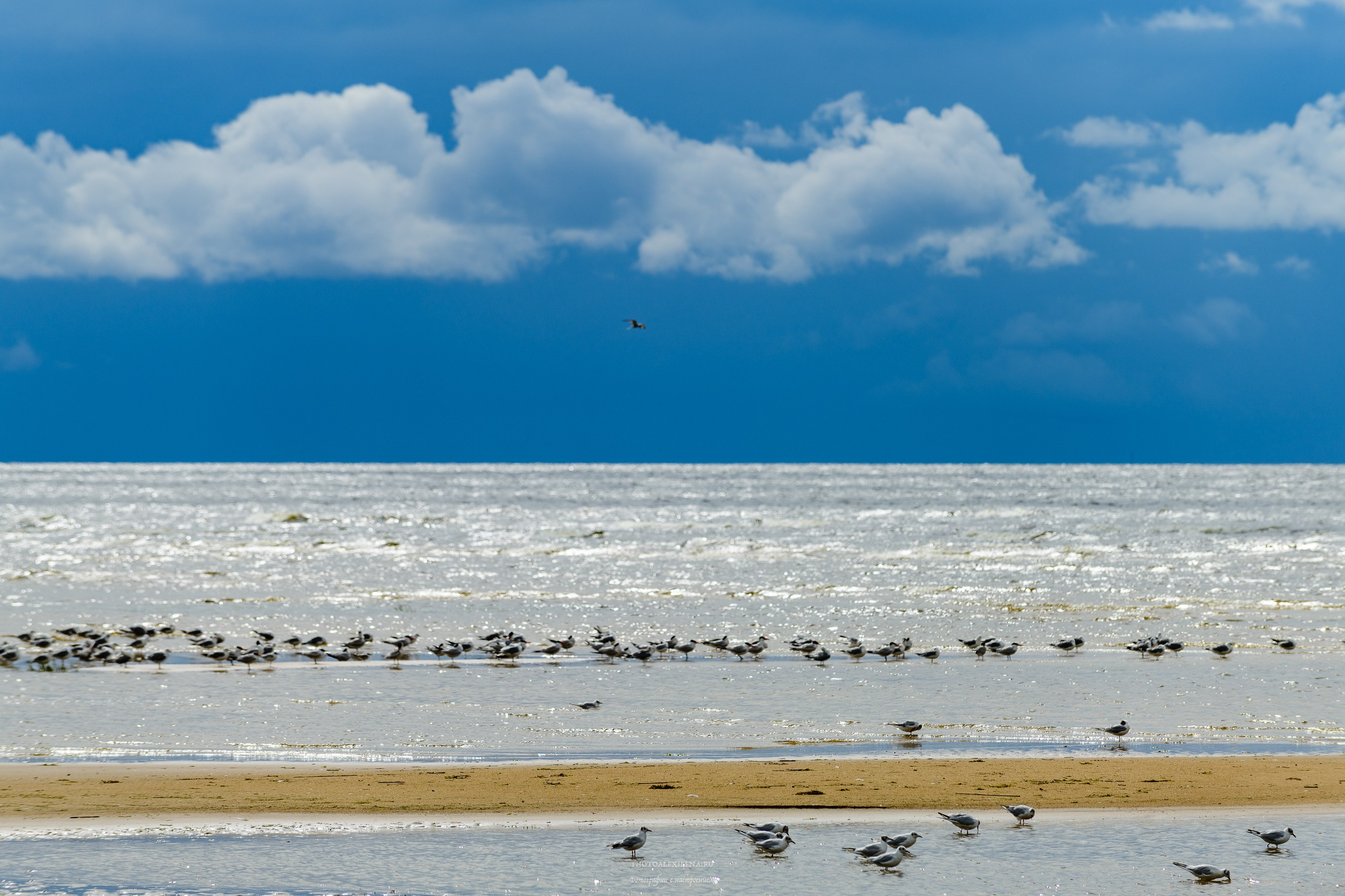 Пейзажная фотография. Авторские стильные фотокартины