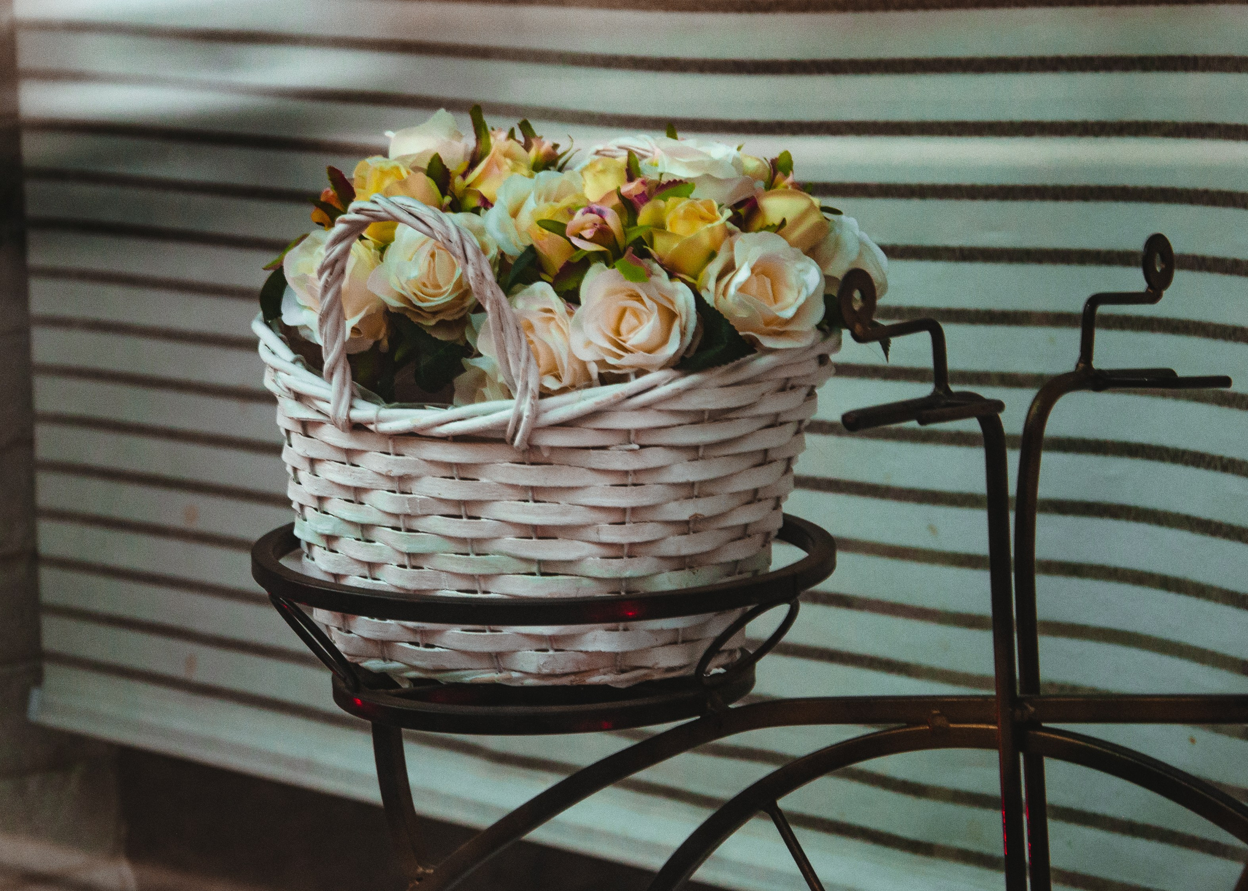 Питер. Портретный фотограф DanilNabody