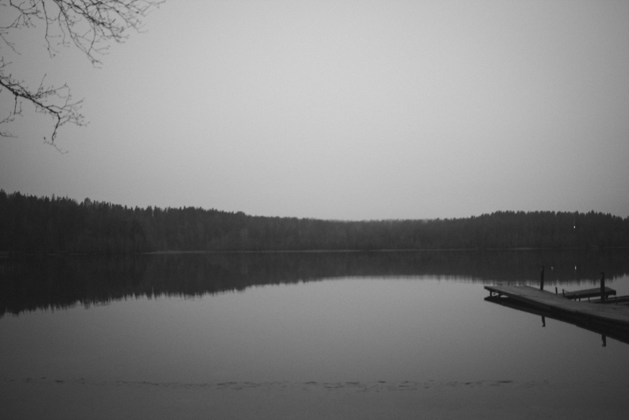 Лес и абстрактность. Портретный фотограф DanilNabody