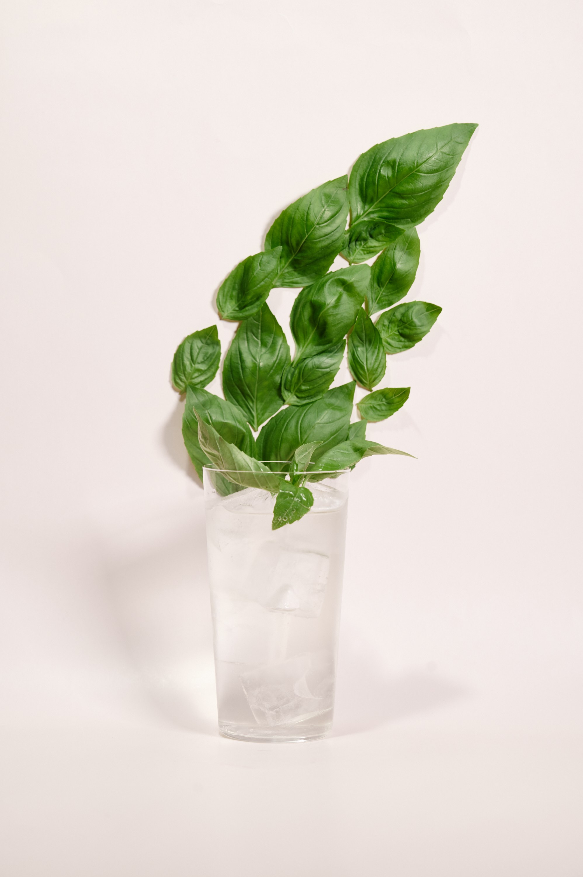 More. Коммерческий фотограф в Казани Ксения Добролюбова