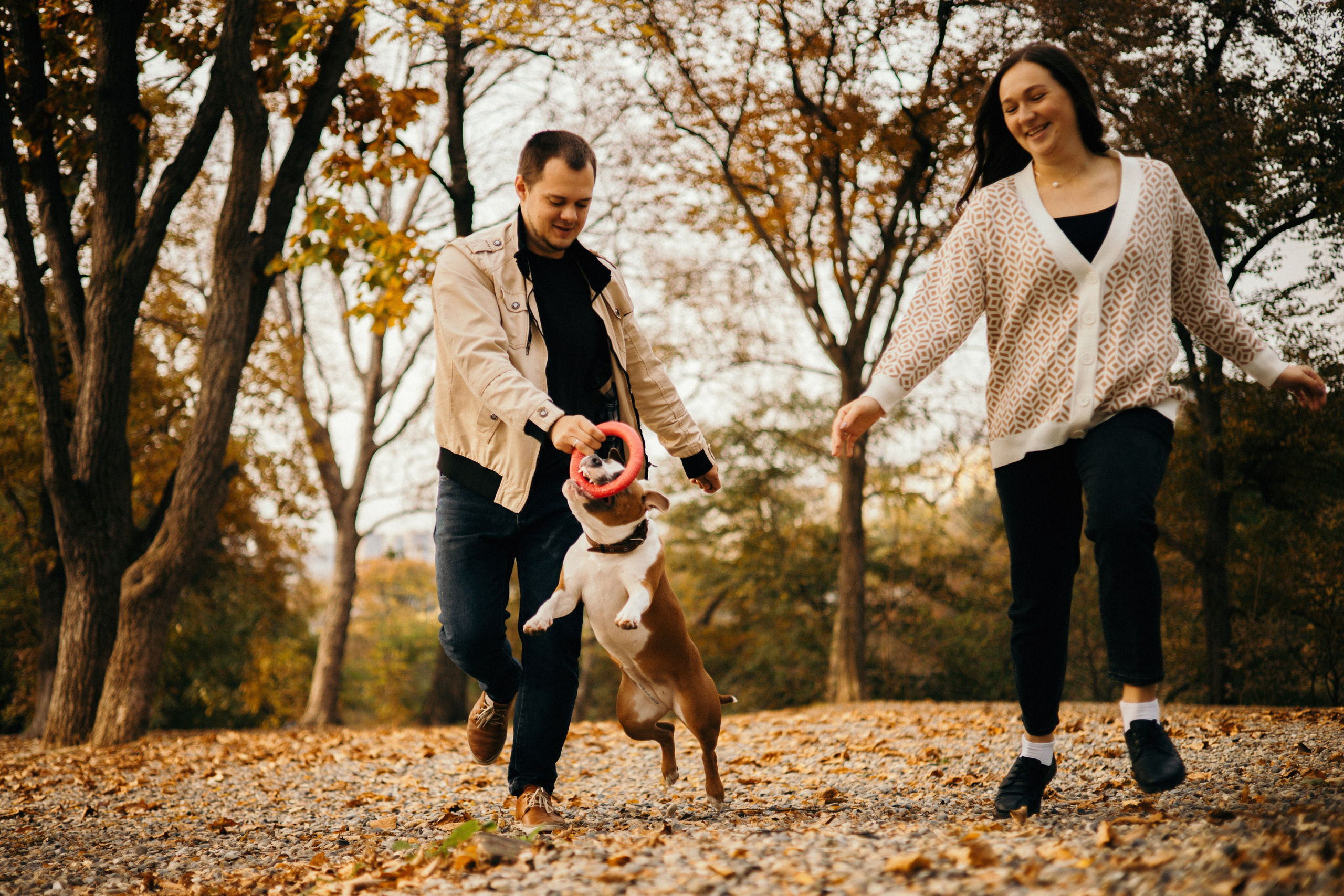 Лаффи и ее семья. Фотограф — анималист Владивосток, Алина