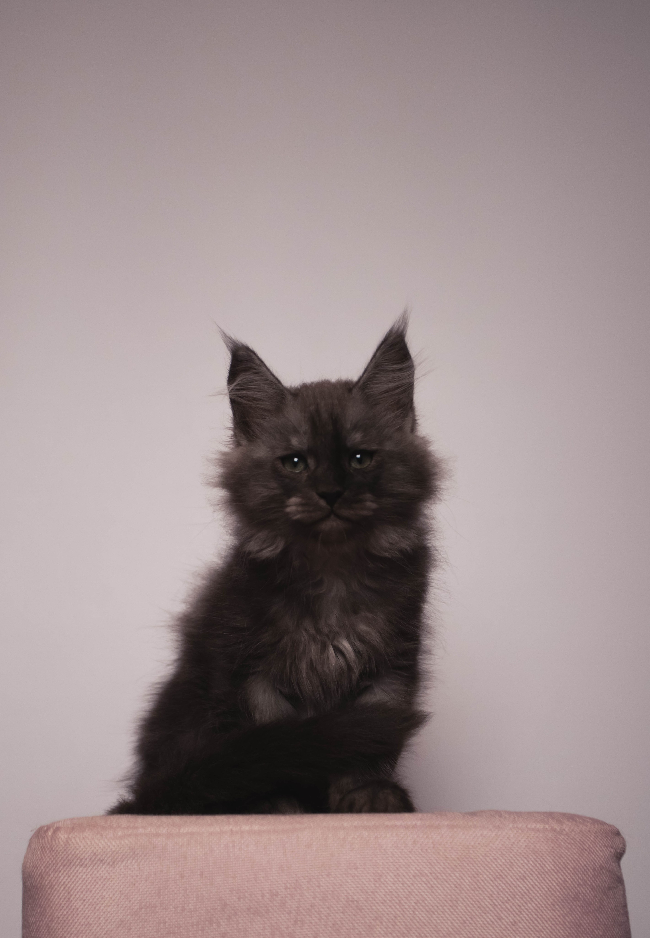 HanFors. Женский и предметный фотограф