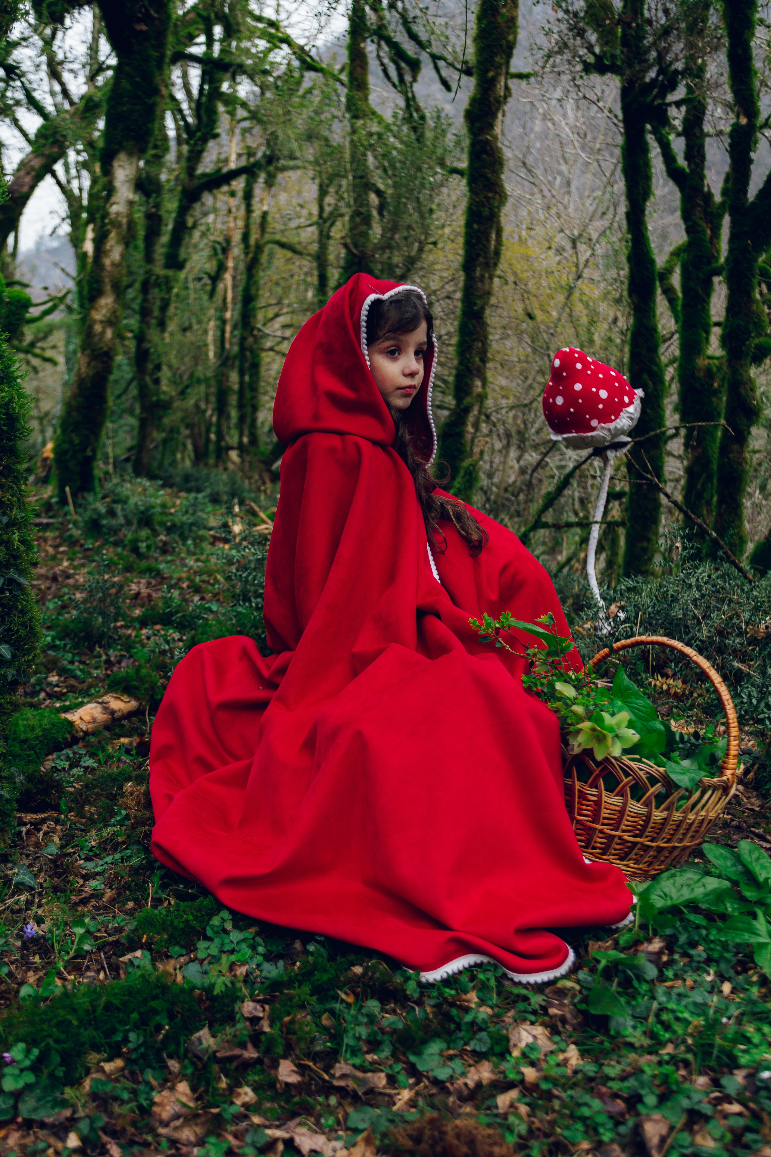 Самшитовая роща. Семейный и художественный фотограф в Тюмени Юлия Логинова