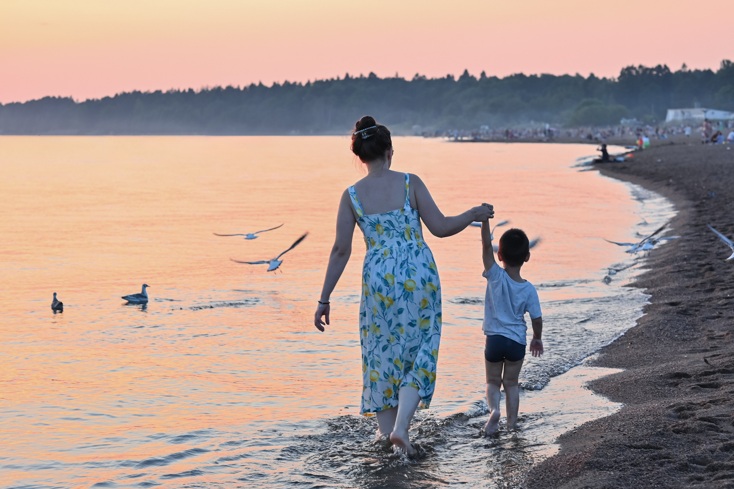 . ZDARONOKIA Репортажный фотограф