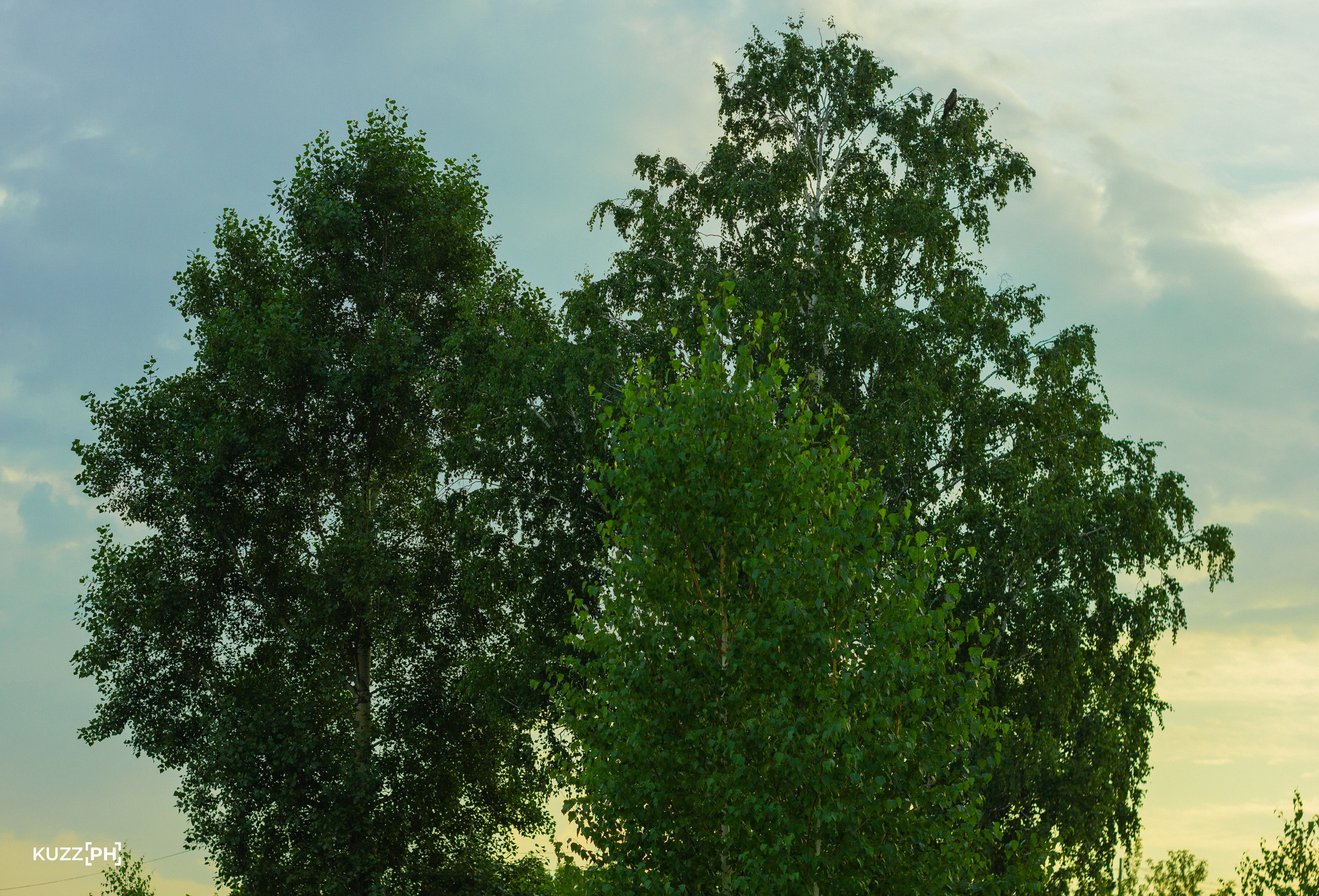 02.08.2024 | Сосновоборск. Kuznetsov | Фотограф в Красноярске