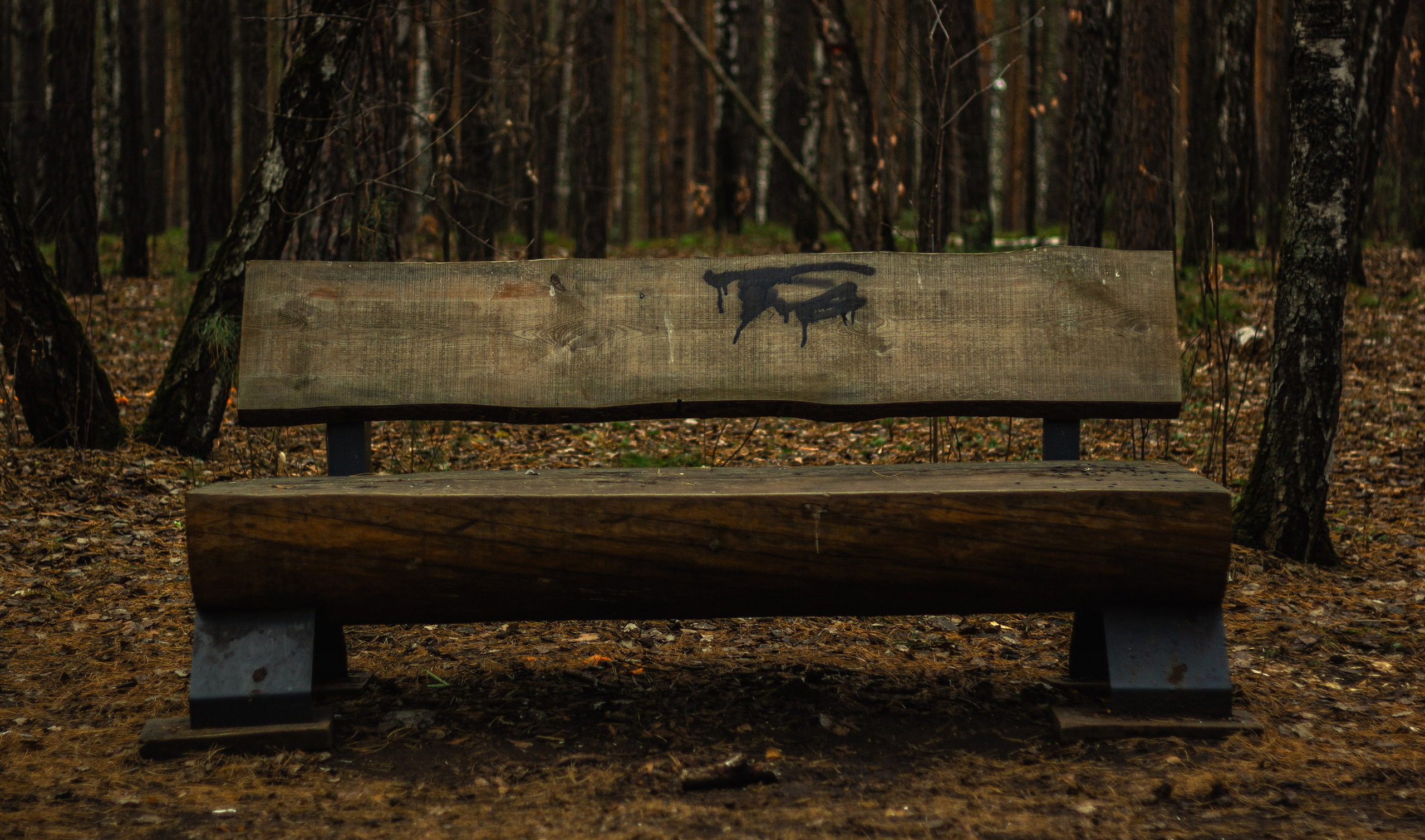 04.11.2024 | Сосновоборск. Kuznetsov | Фотограф в Красноярске