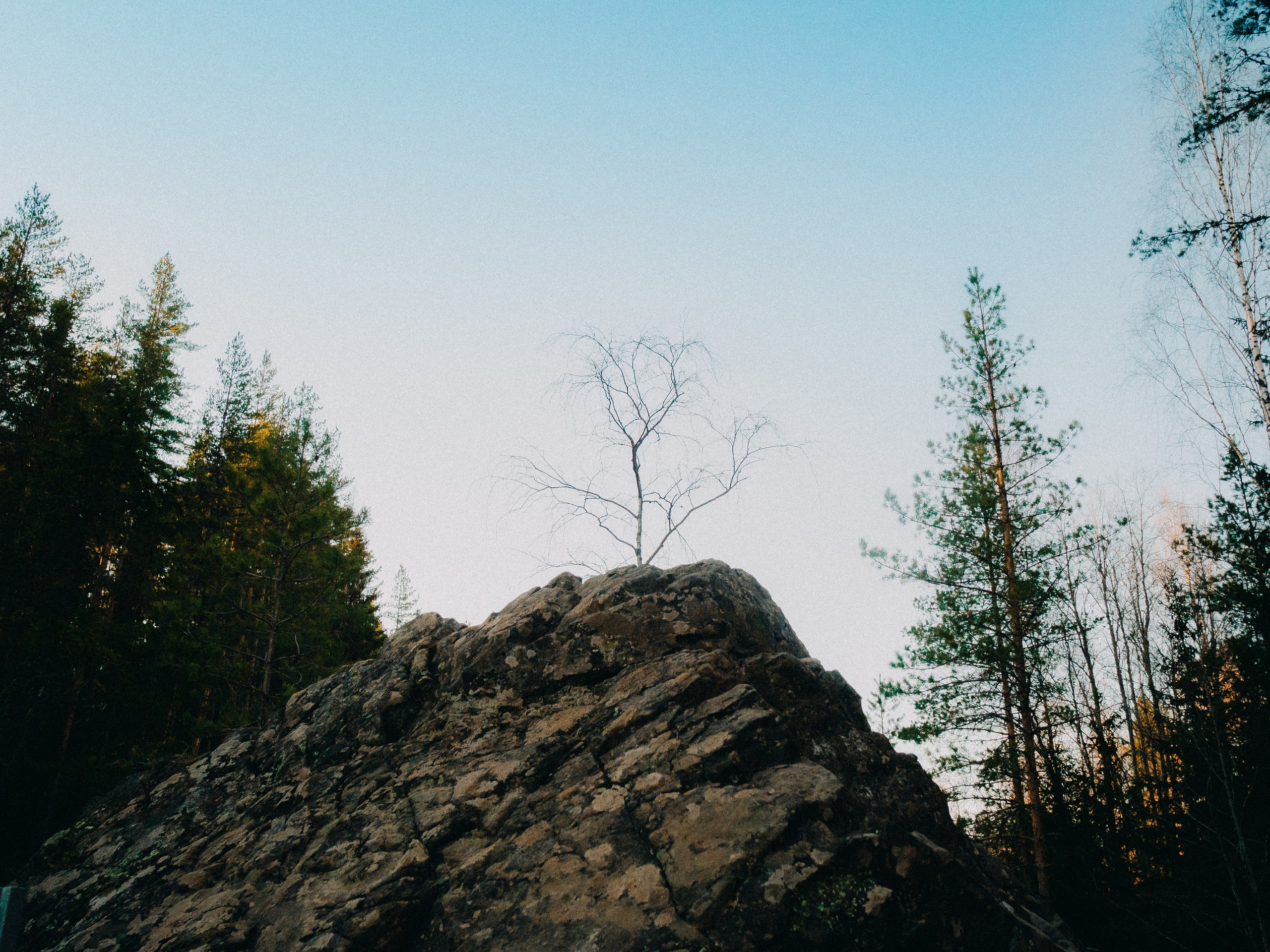 Карелия '23. Фёдор Малюгин. Ваш бади в визуале