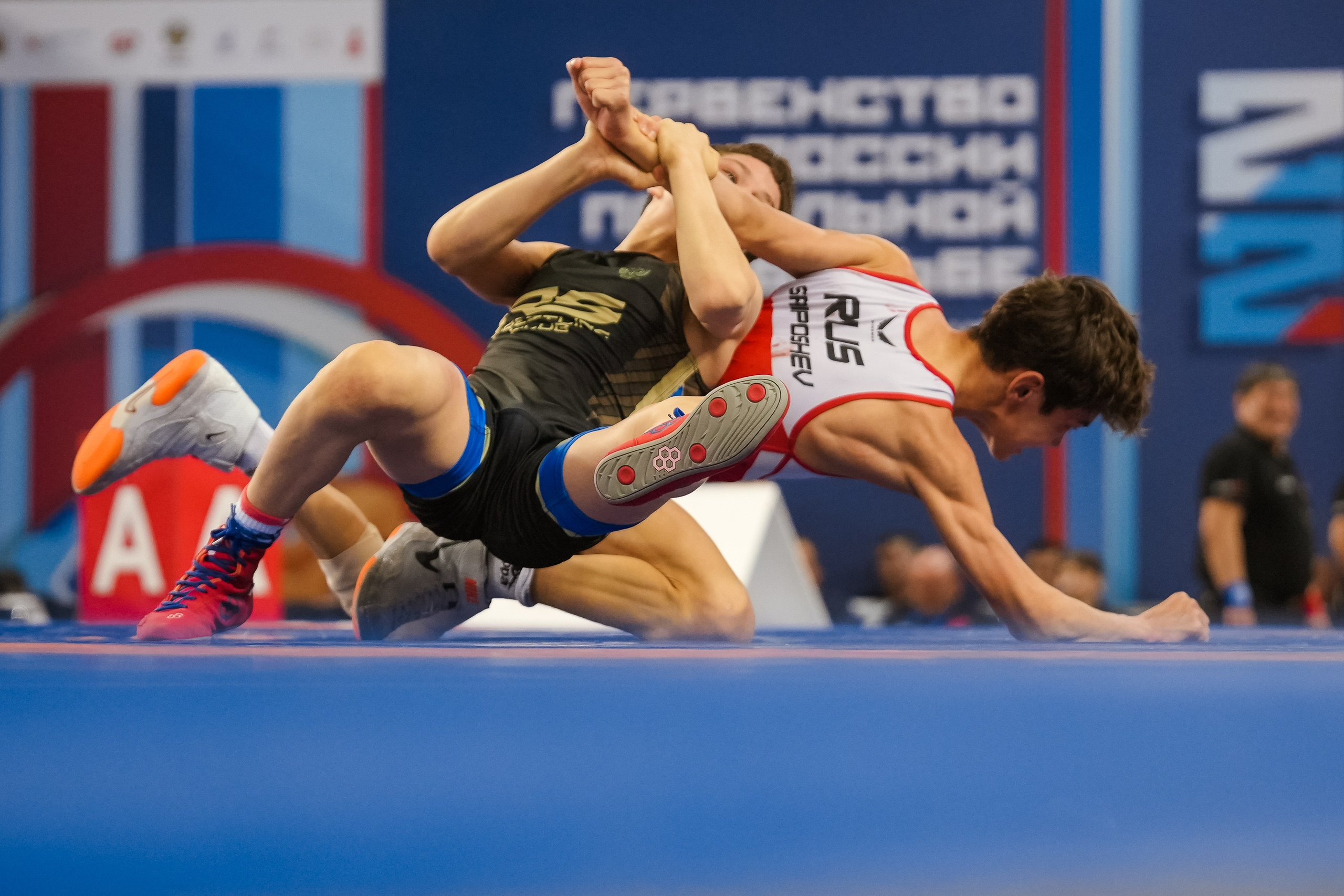 Первенство России по вольной борьбе среди юношей до 16 лет. Красноярск 2025. Фотограф Анна Герман. Красноярск