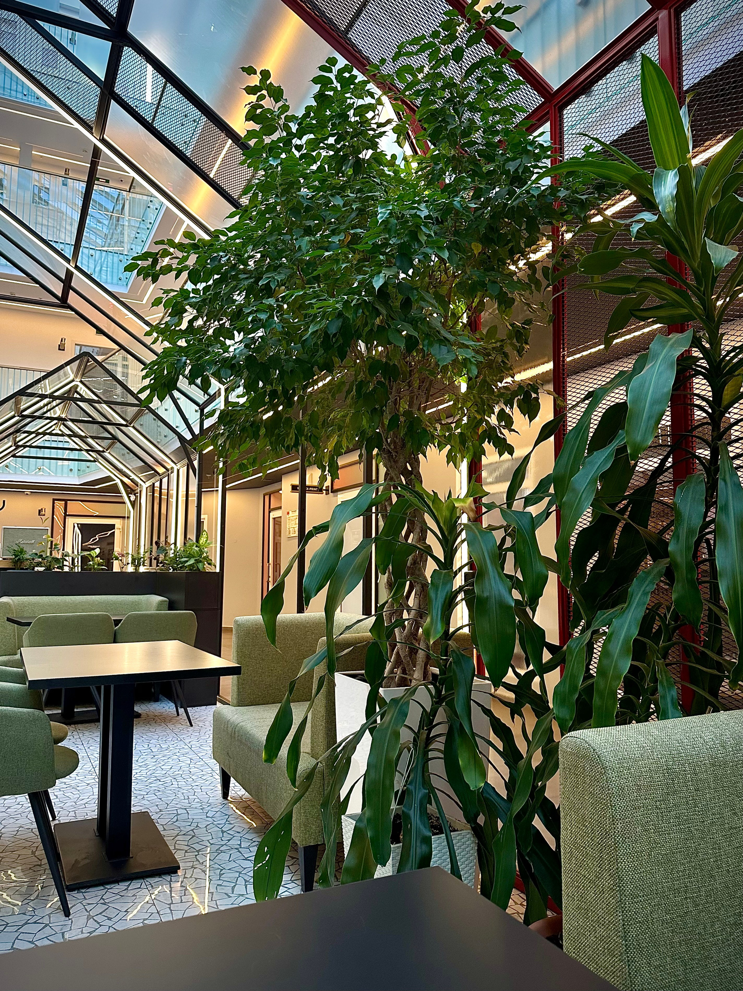 Рилсмейкер — контент. КОНТЕНТ |БРЕНД фотограф Санкт-Петербург — Жанна Олтаржевская