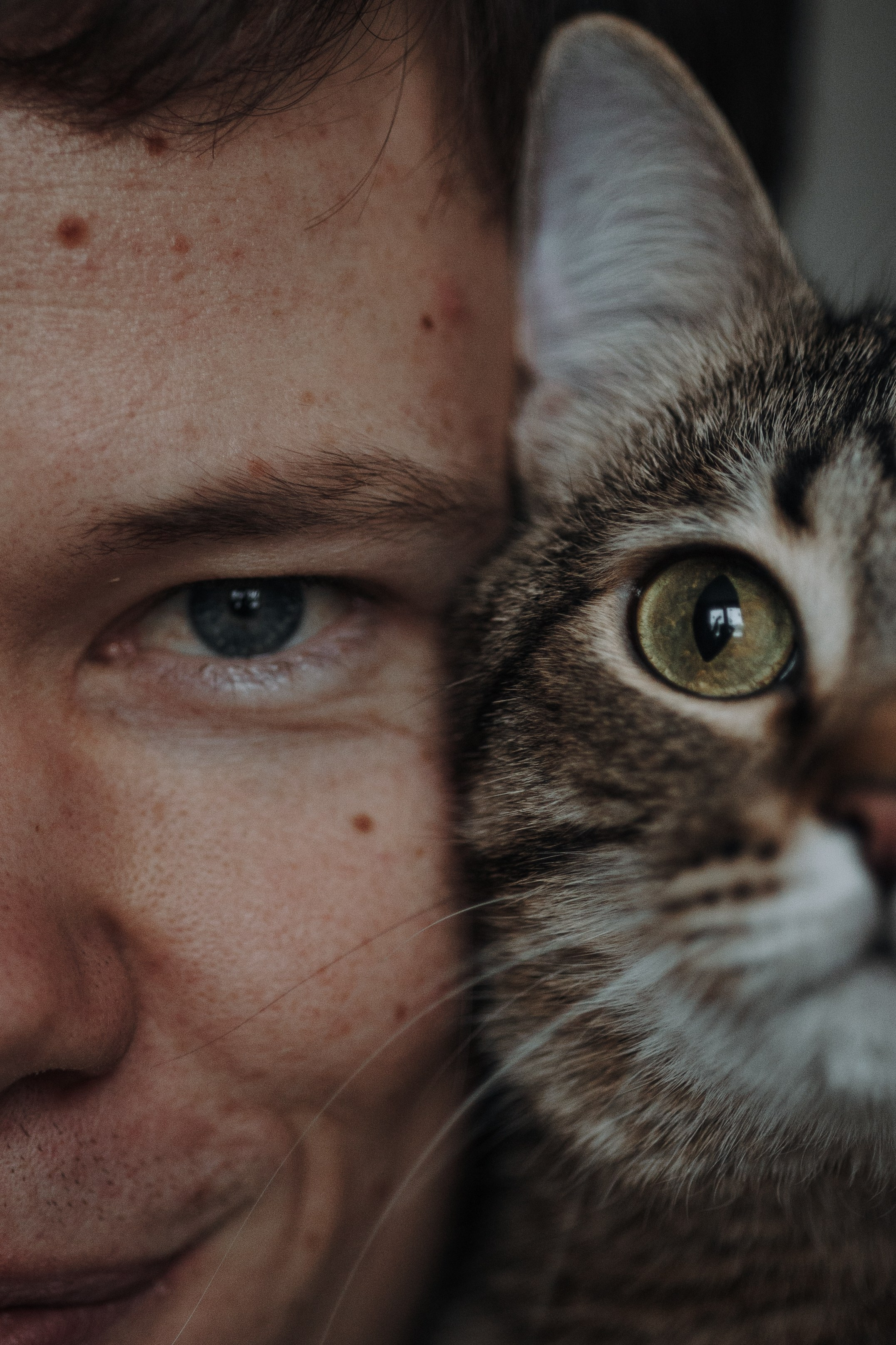 Мася и ее семья. Фотограф — Анималист | Санкт-Петербург