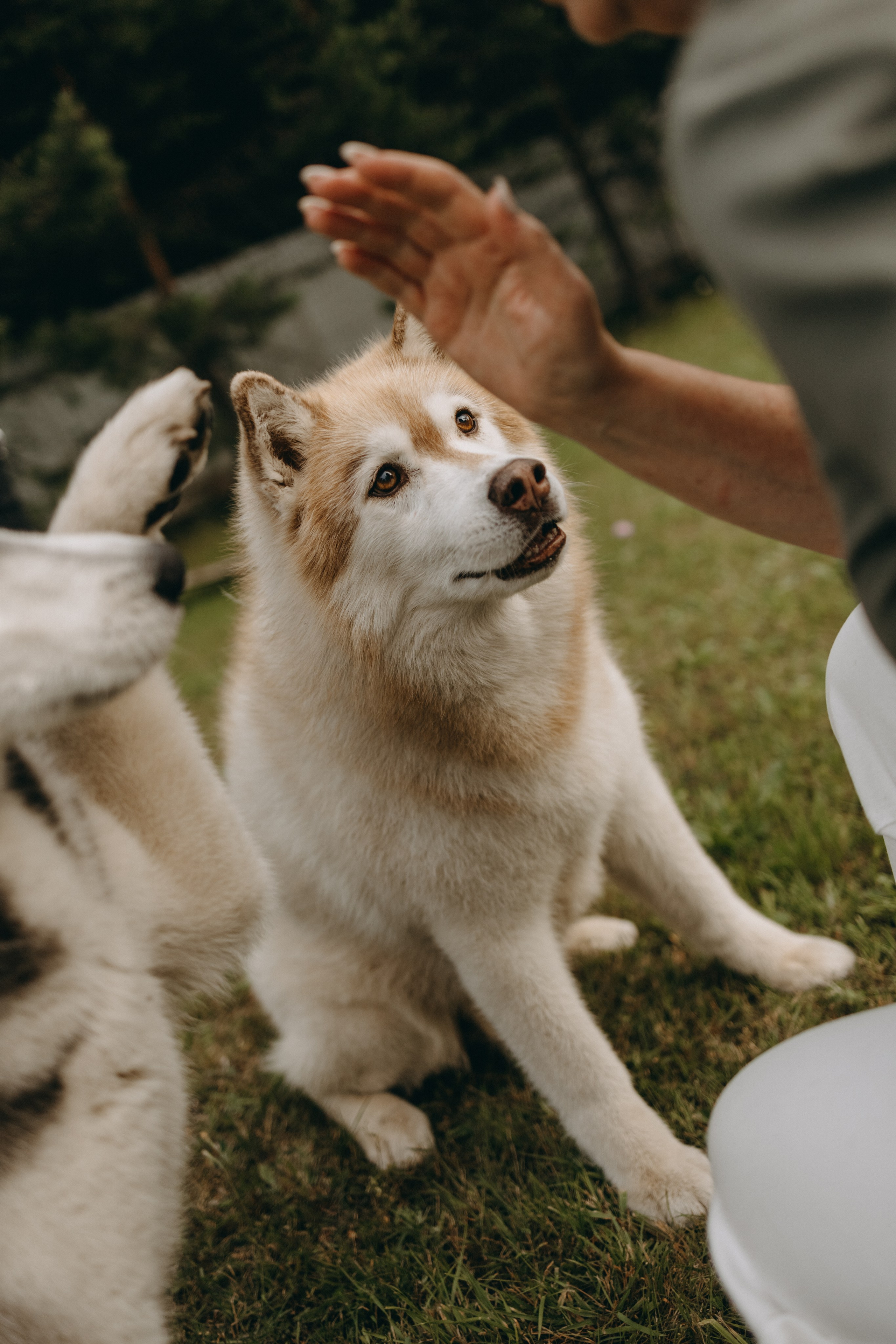 Дом у реки. Фотограф — Анималист | Санкт-Петербург