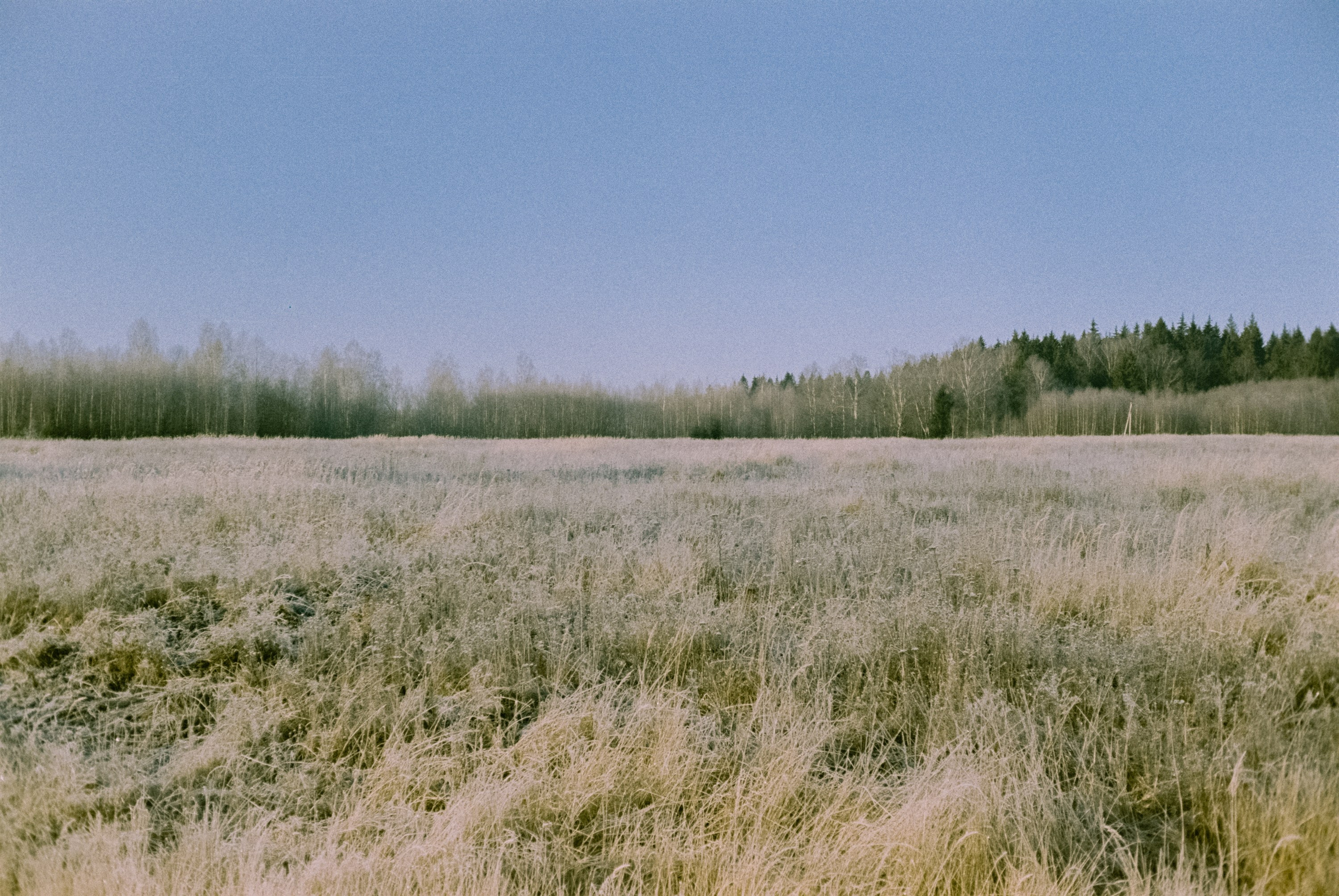 Minolta Hi-Matic 7sII / Kodak Color 200 (просрочка) / Лукино