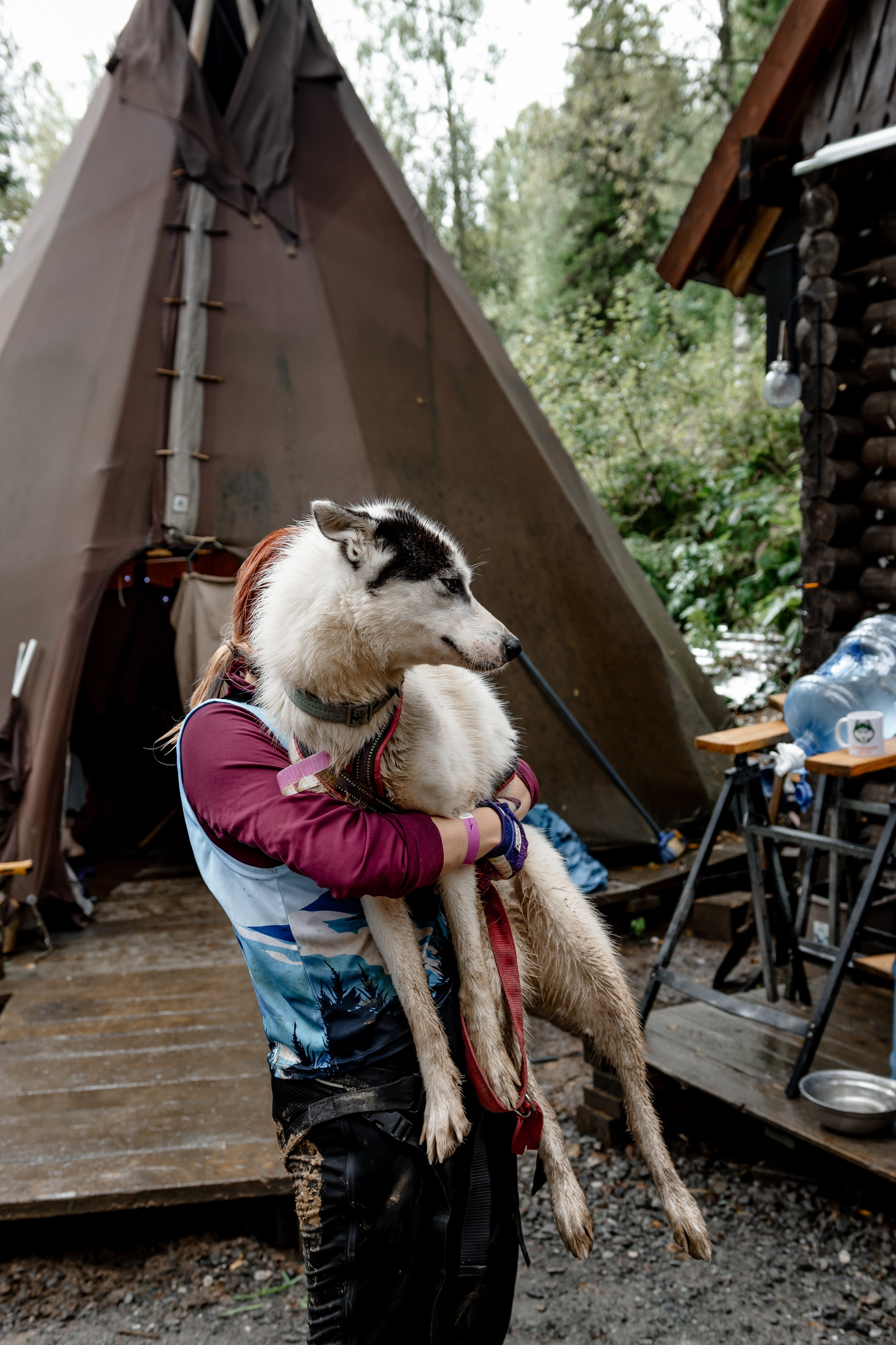 Дог-треккинг