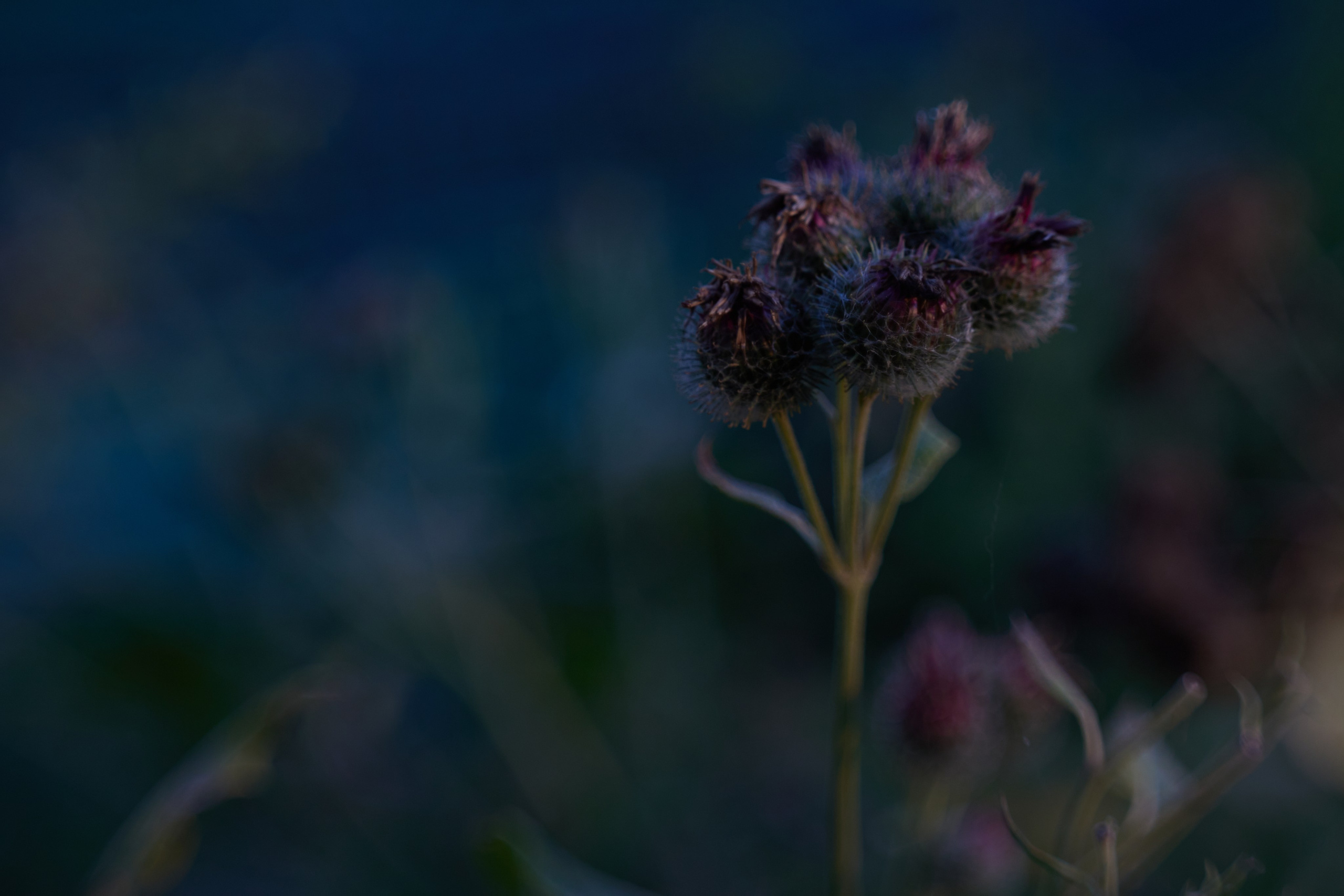 Арт-фотограф во Владивостоке Дмитрий Осипчук